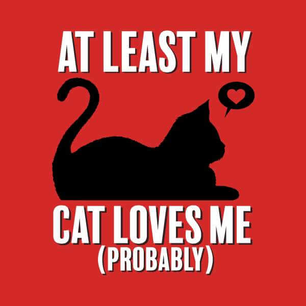 At Least My Cat Loves Me T-Shirt - Red - S - Red
