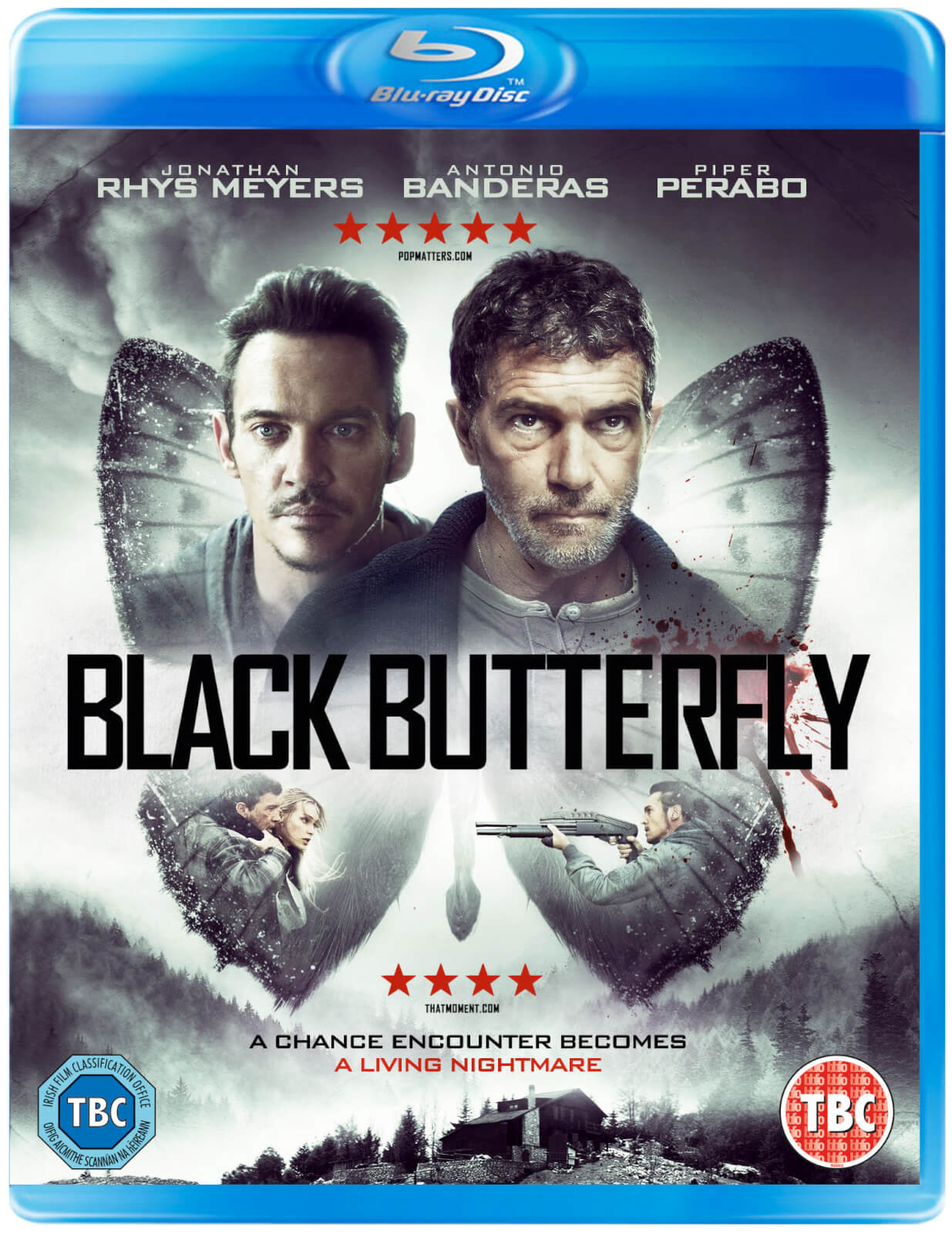 

Black Butterfly