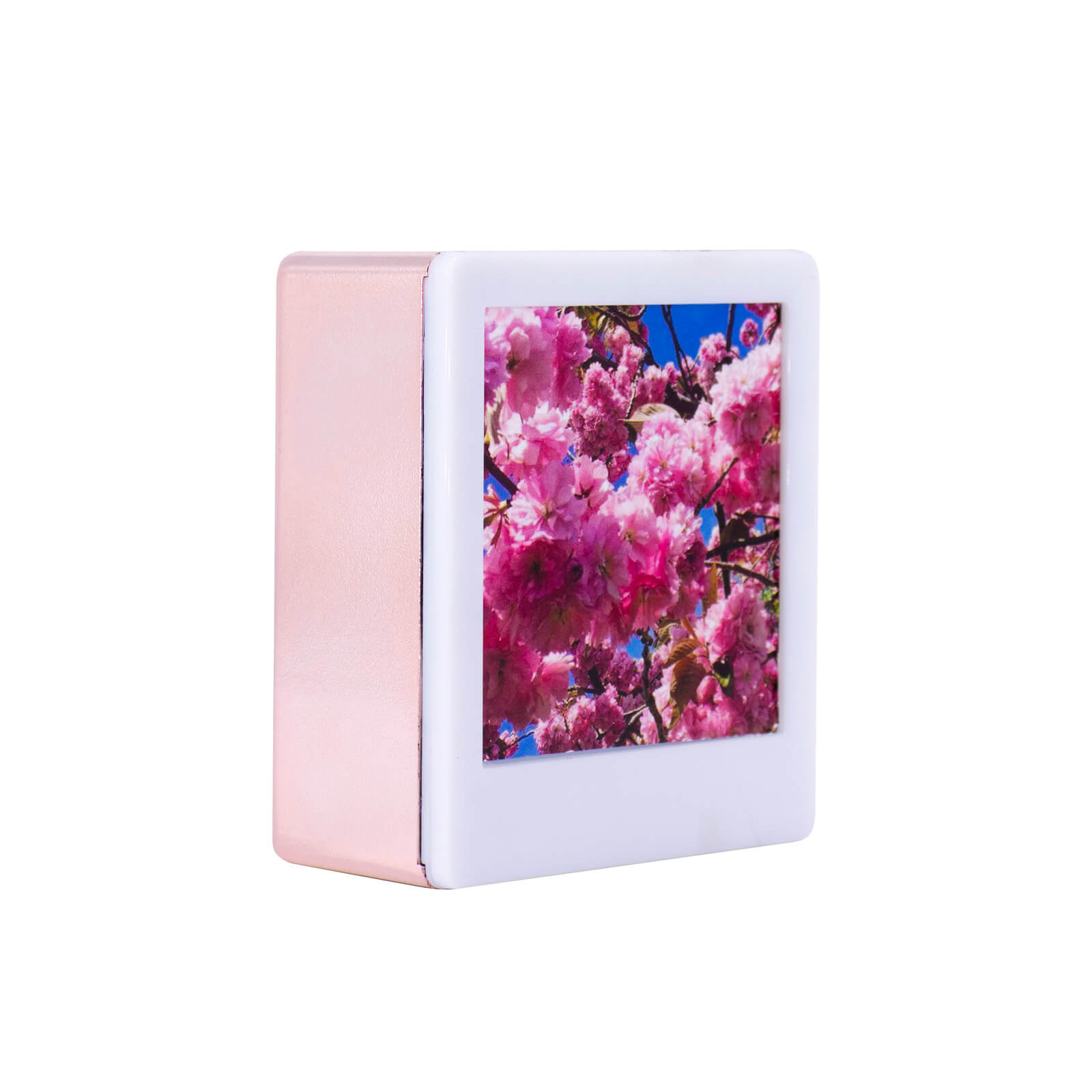 Lightbox Cadre Mini Photo - Rose Gold