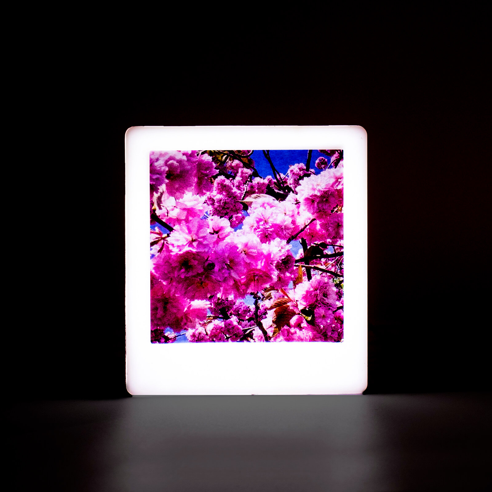 Magnetic Rose Gold Mini Photo Light Box