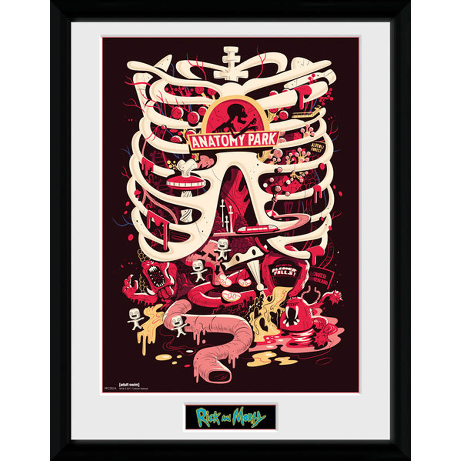Rick and Morty Anatomy Park 12 x 16 Inches Framed Photograph