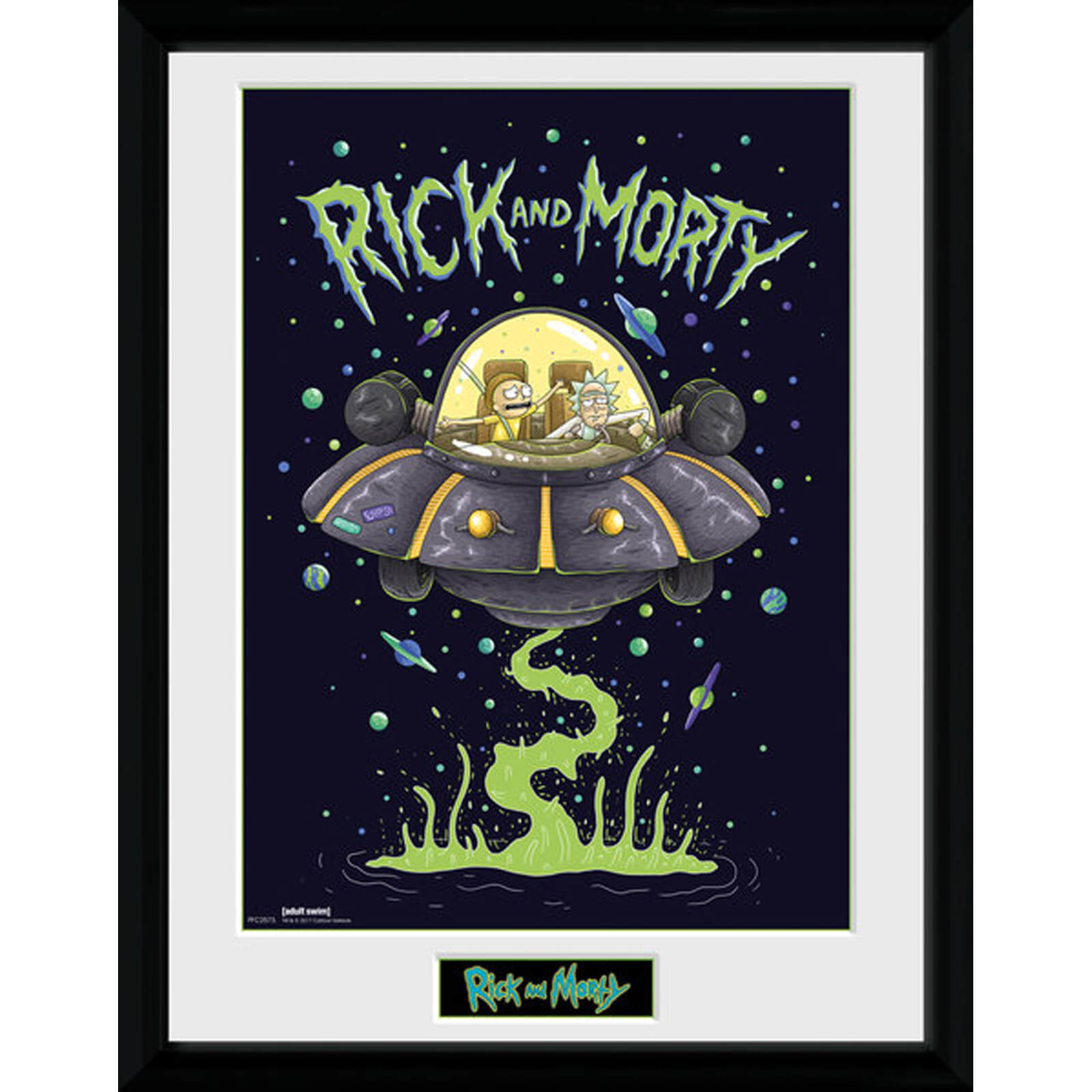 Rick and Morty Ship 12 x 16 Inches Framed Photograph