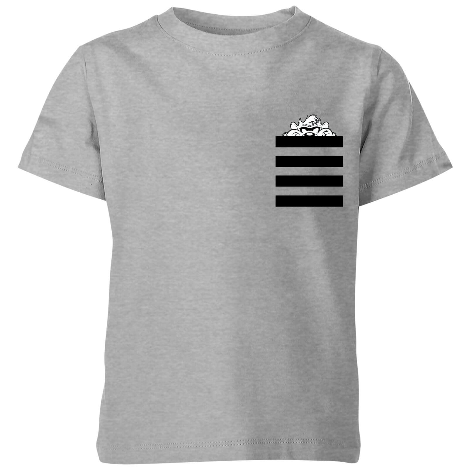 

Looney Tunes Taz Stripes Pocket Print Kids' T-Shirt - Grey - 3-4 Anni - Grigio