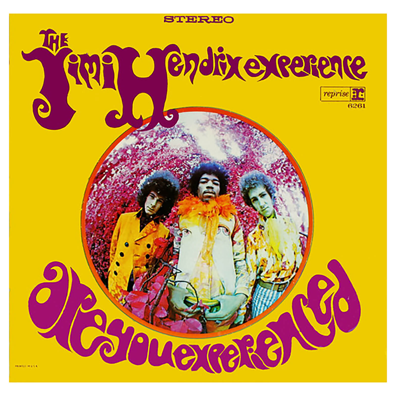 Jimi Hendrix - Are You Experienced - Vinyl