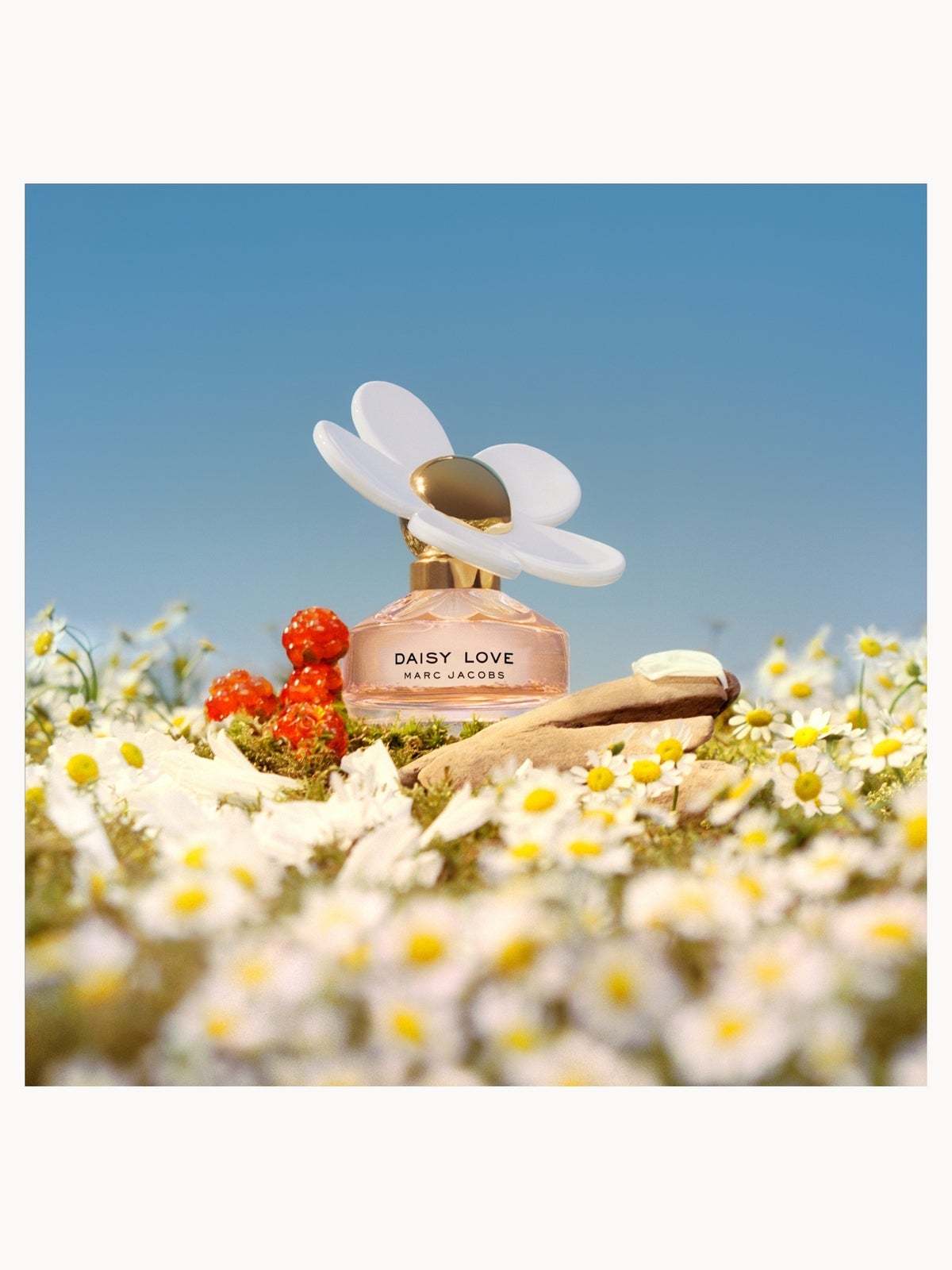 Marc Jacobs Daisy Love Eau de Toilette 100ml, photo 3