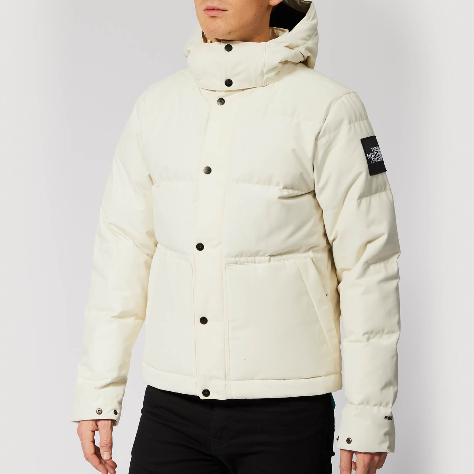 north face men's box canyon jacket