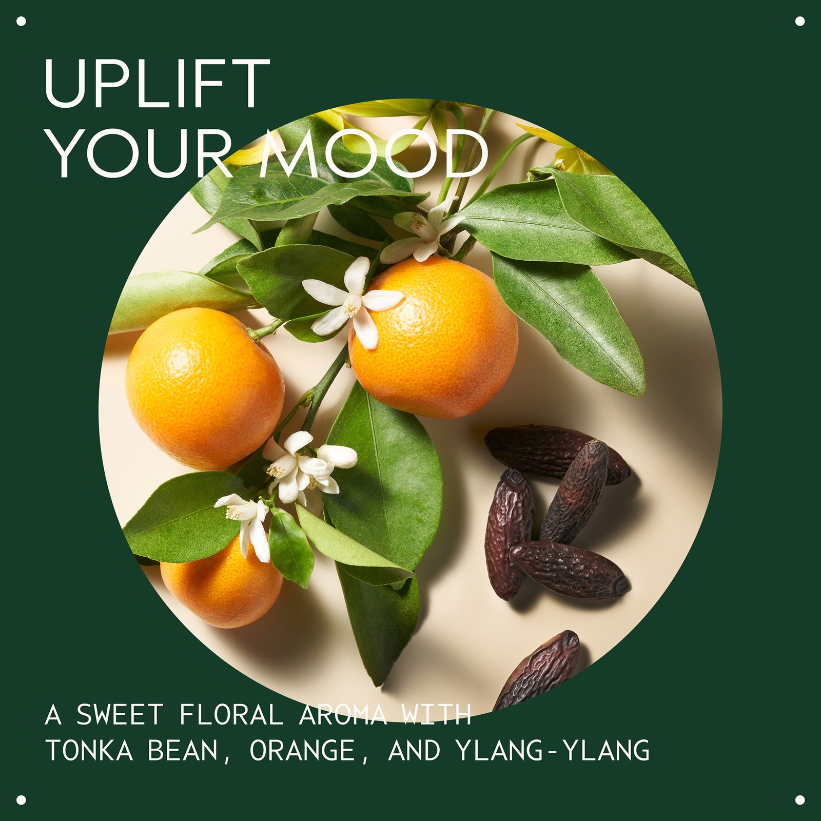 Thumbnail - Aveda Cherry Almond Conditioner 1000 ml