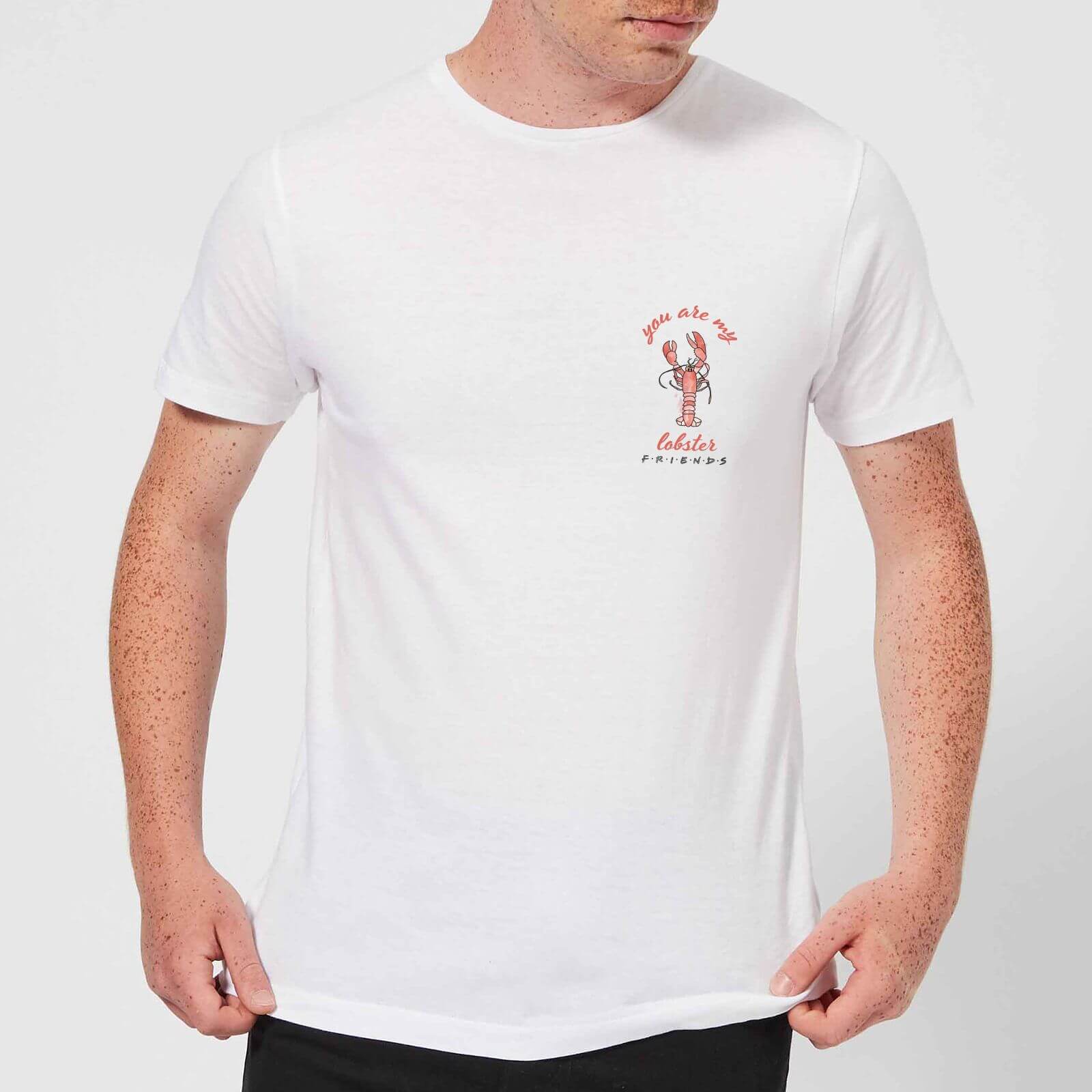 Friends You Are My Lobster Men's T-Shirt - White - 3XL