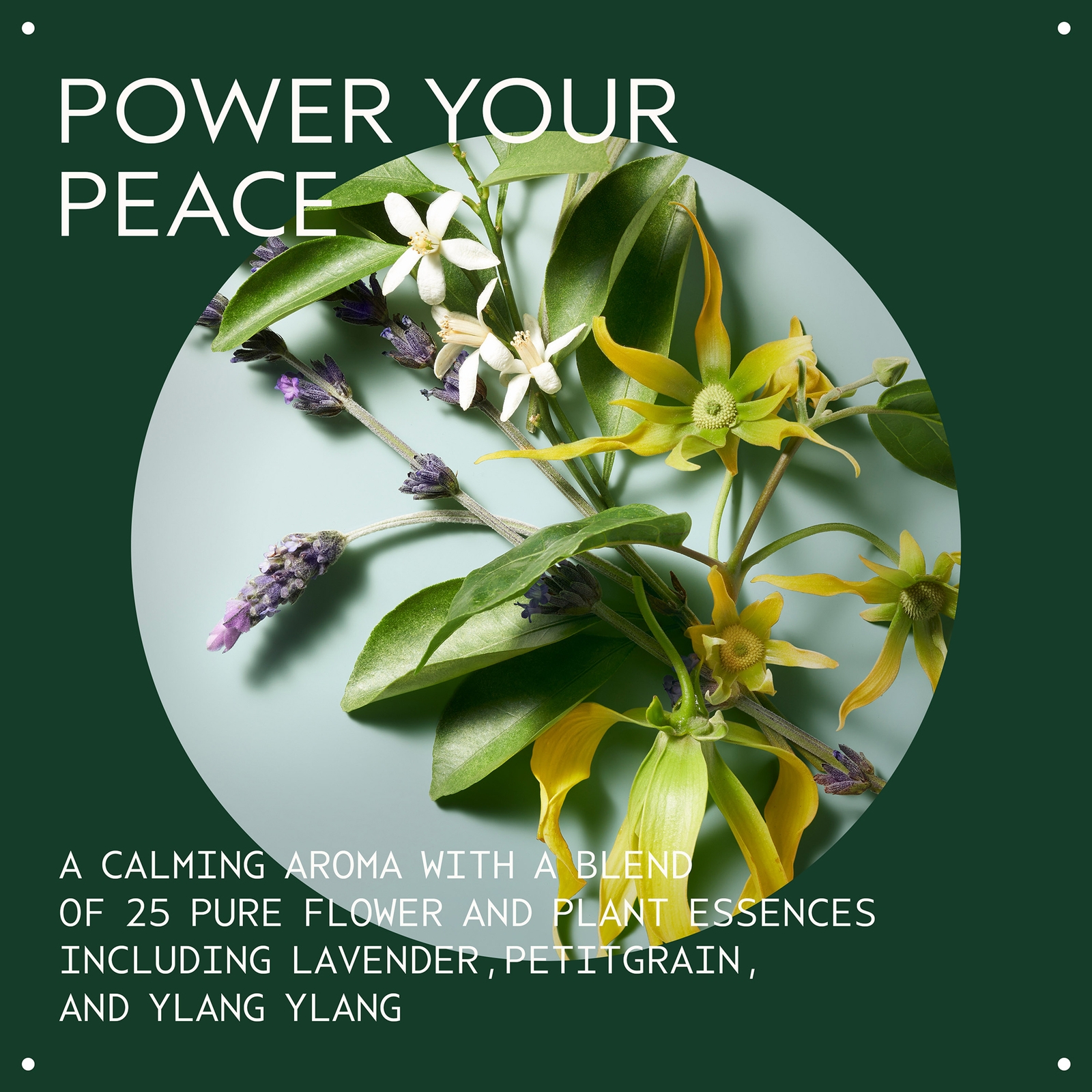 Aveda Shampure Nurturing Shampoo 1000ml