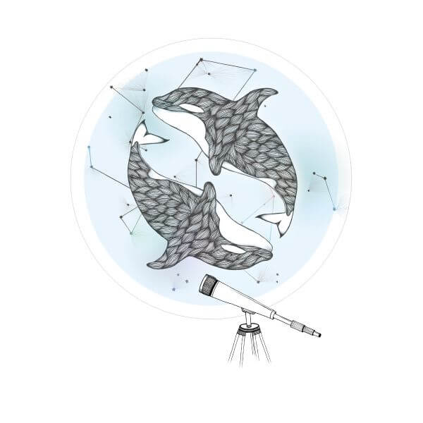 Barlena Orcalaxy Women's T-Shirt - White - S - White