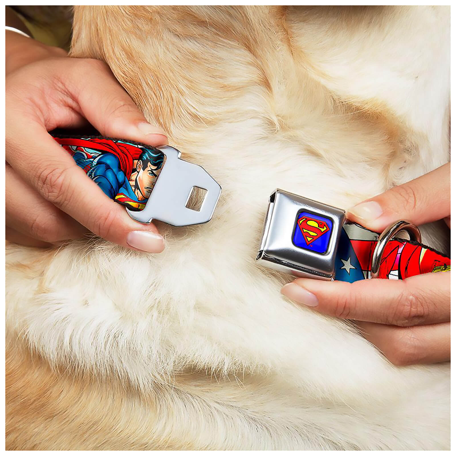 Buckle-Down DC Comics Superman Action Dog Collar - Blue (Various Sizes) - L/18-32 Inches