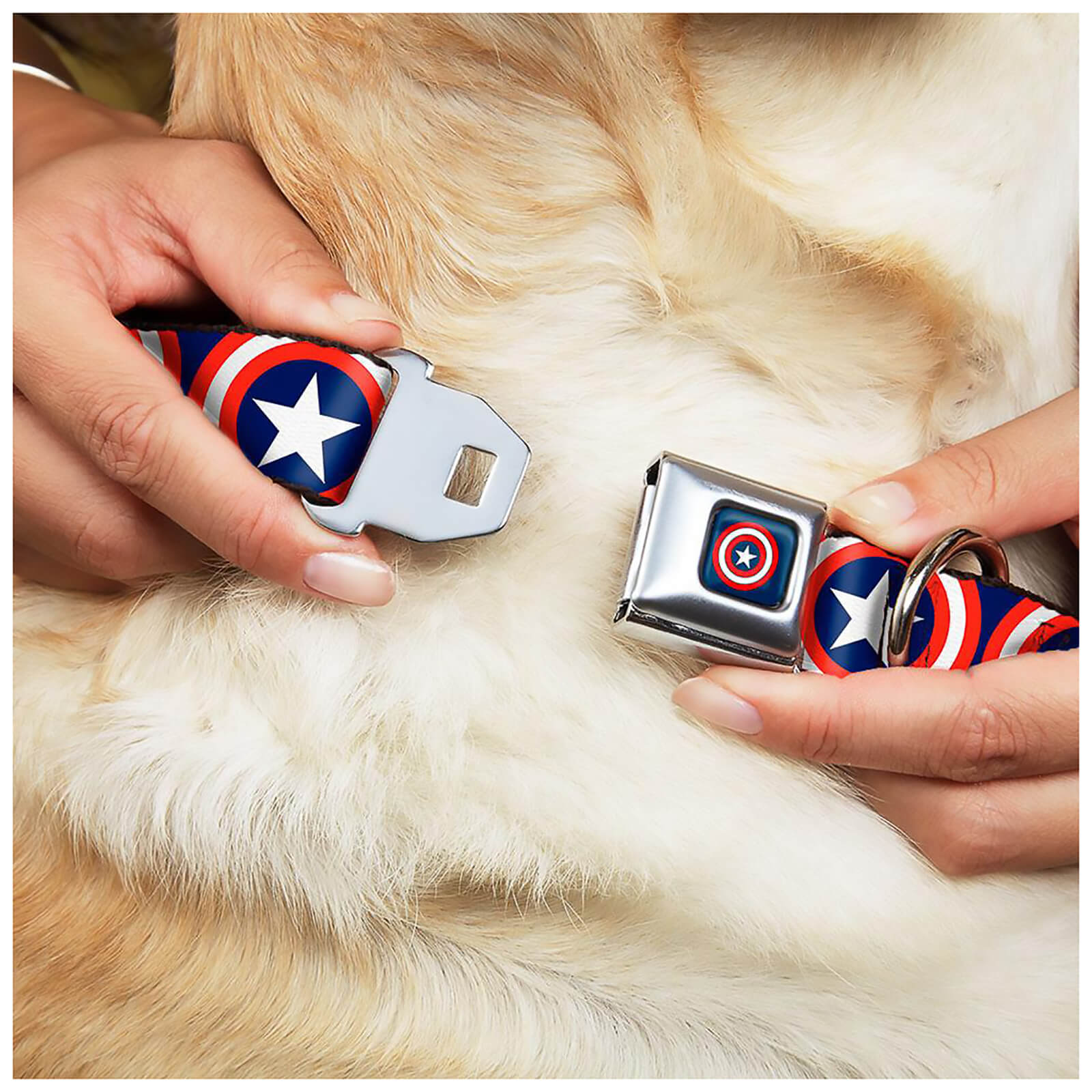 Buckle-Down Marvel Captain America Shield Dog Collar (Various Sizes) - S/13-18 Inches