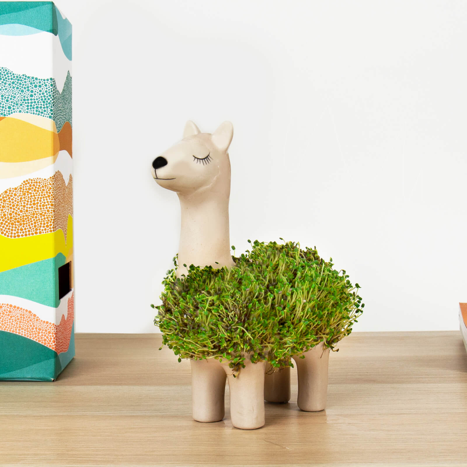 Llama Planter