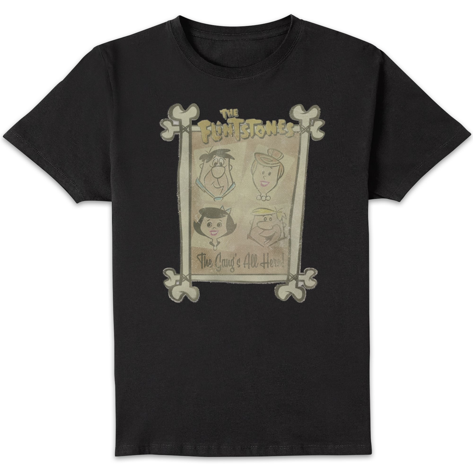 The Flintstones The Gang