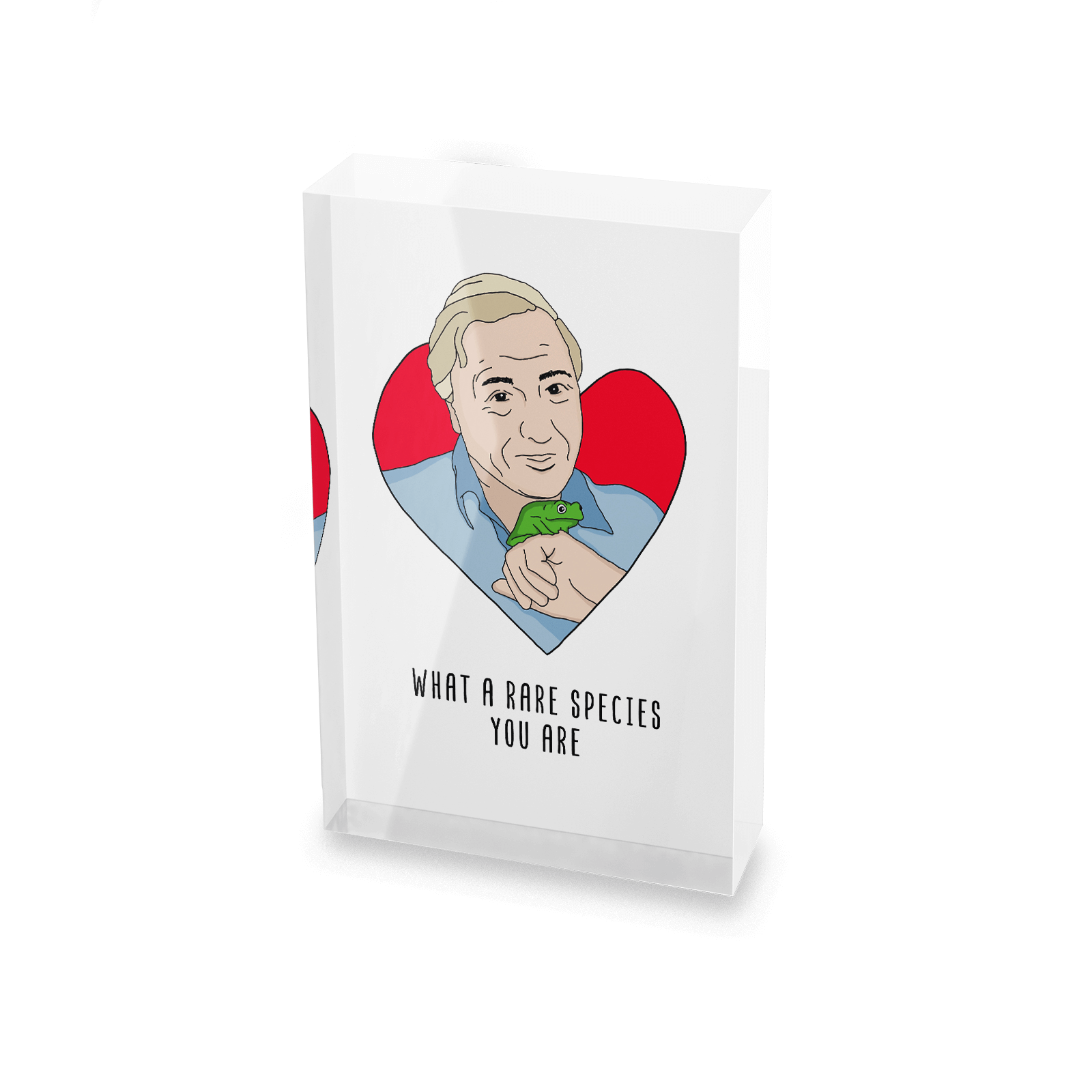 What A Rare Species You Are Glass Block - 80mm x 60mm