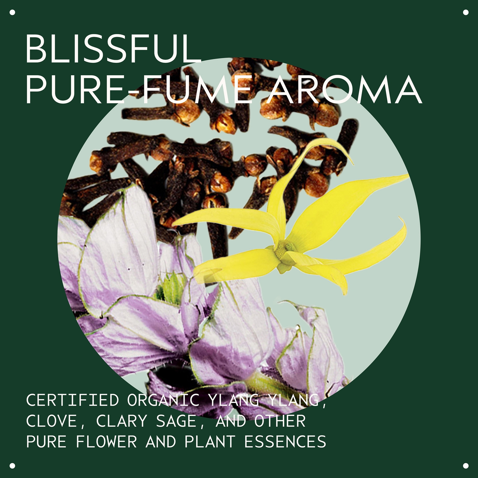 Thumbnail - Aveda Control Paste 75 ml