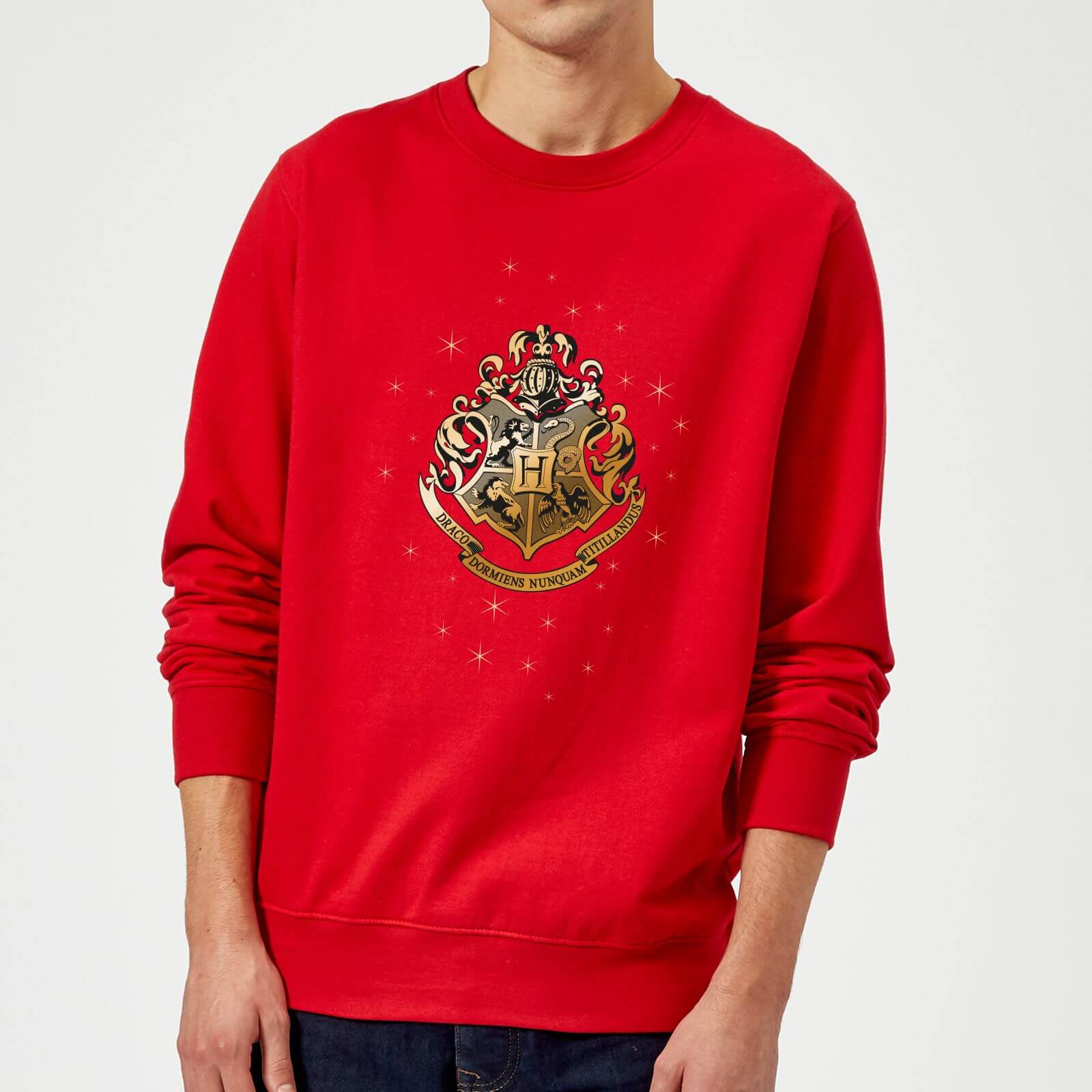 Harry Potter Star Hogwarts Gold Crest Sweatshirt - Red - M - Red