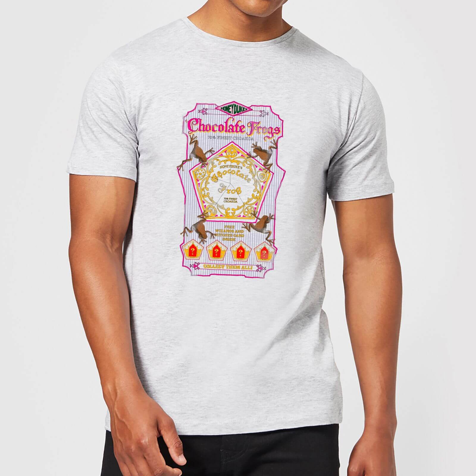 Harry Potter Chocolate Frog Men's T-Shirt - Grey - XXL