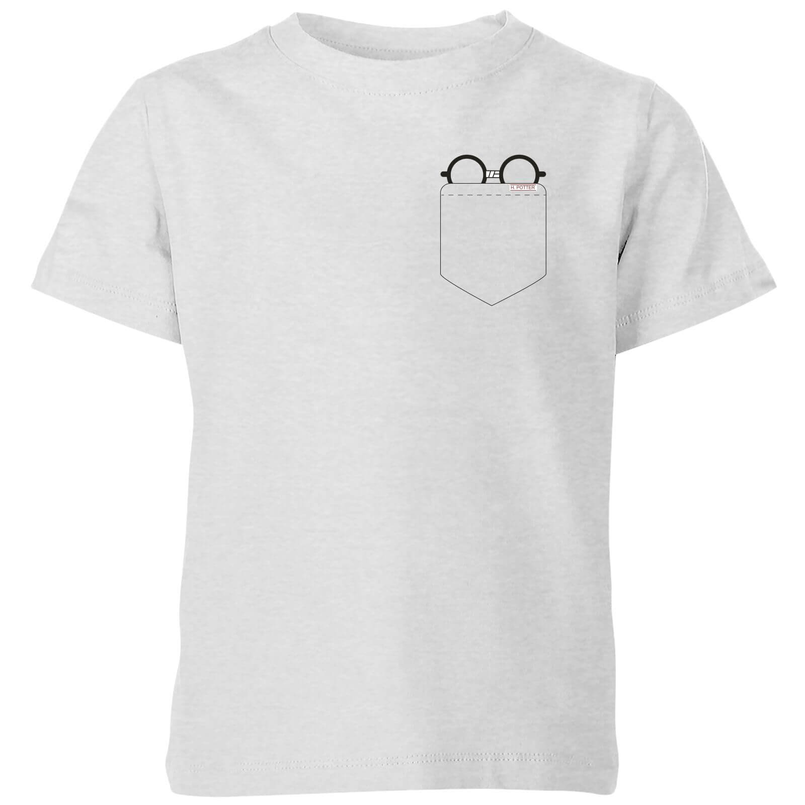 Harry Potter Harry Potter Pocket Glasses Kids' T-Shirt - Grey - 11-12 Years