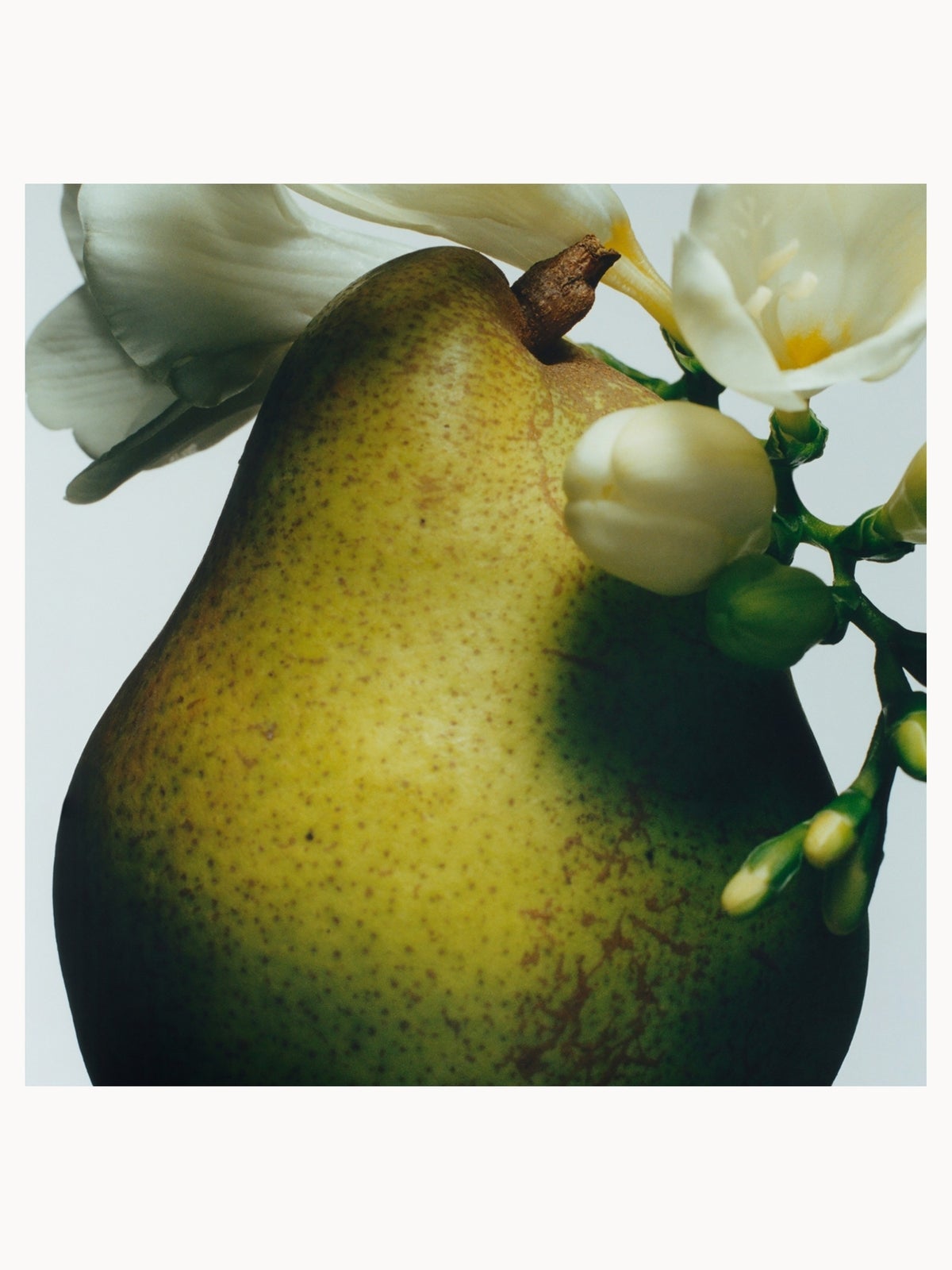 Jo Malone London English Pear & Freesia Bath Oil - 250ml 4