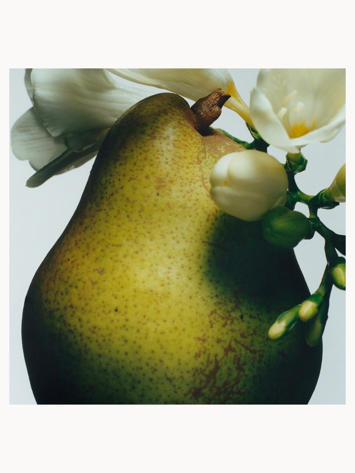 Jo Malone London English Pear & Freesia Bath Oil - 30ml 4