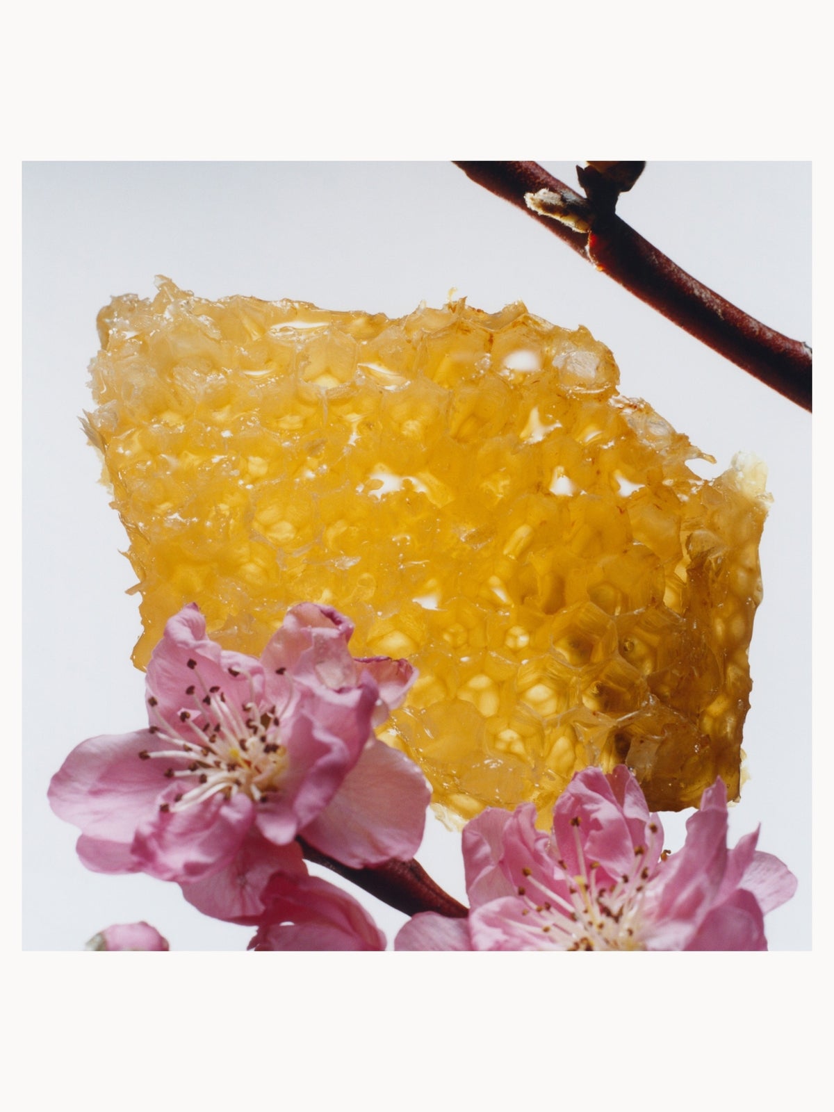 Jo Malone London Nectarine Blossom & Honey Body Crème 175ml 4