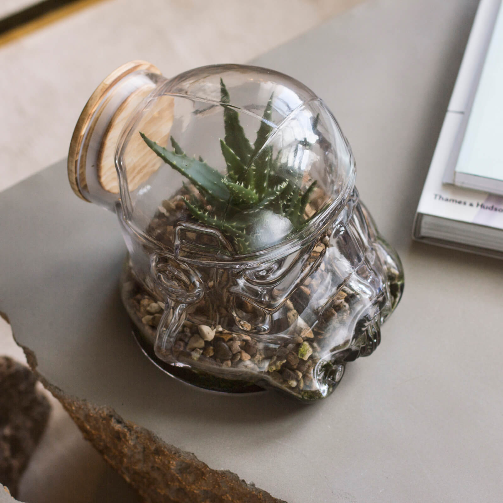 Star Wars Original Stormtrooper Terrarium