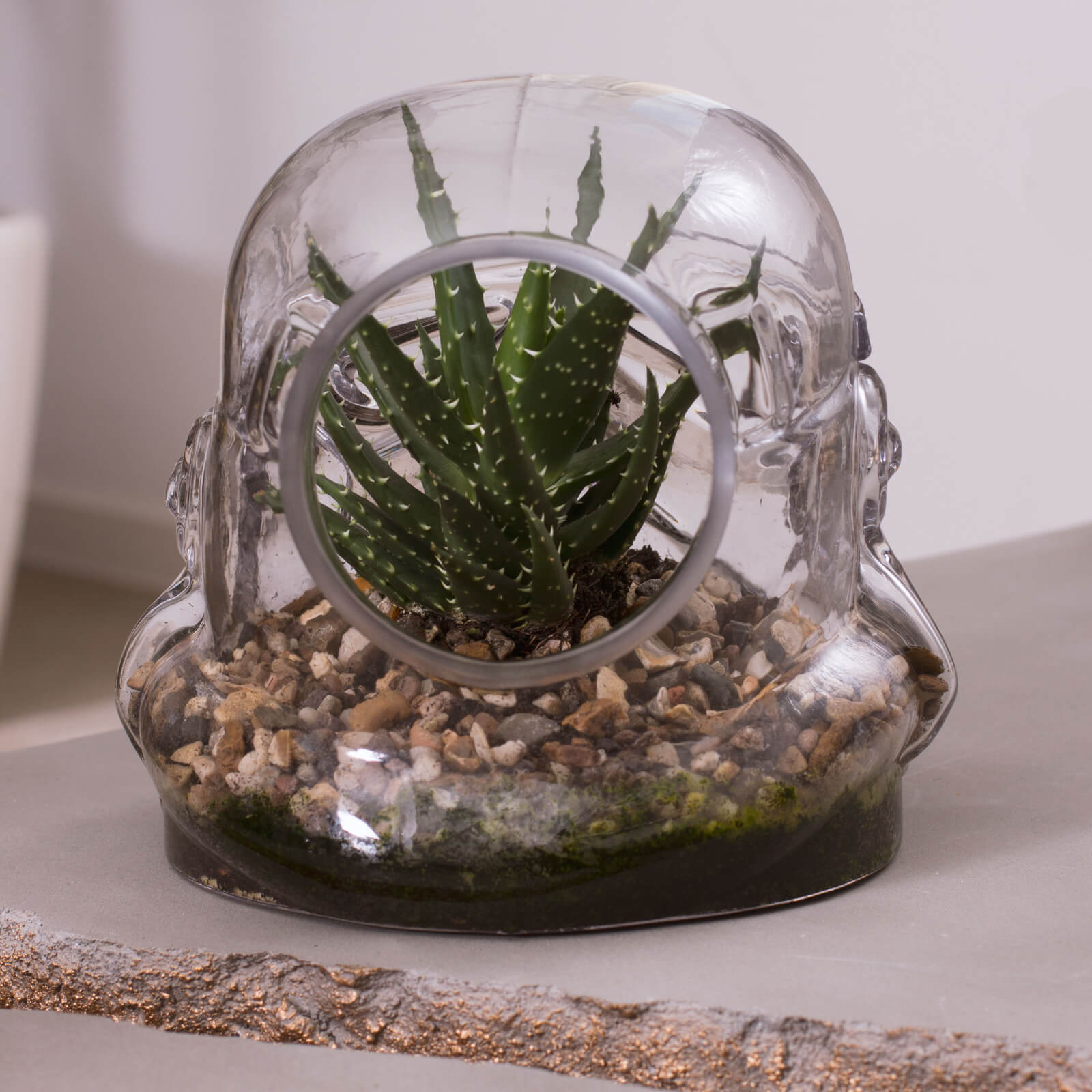 Star Wars Original Stormtrooper Terrarium