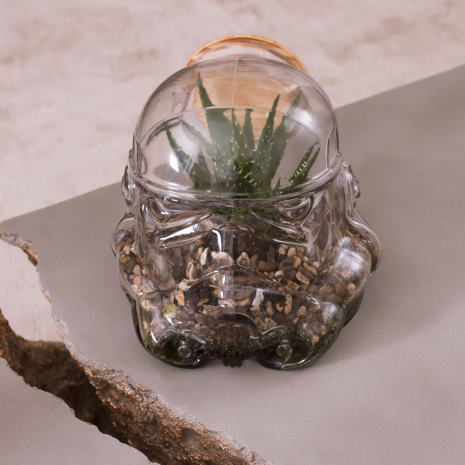 Star Wars Original Stormtrooper Terrarium