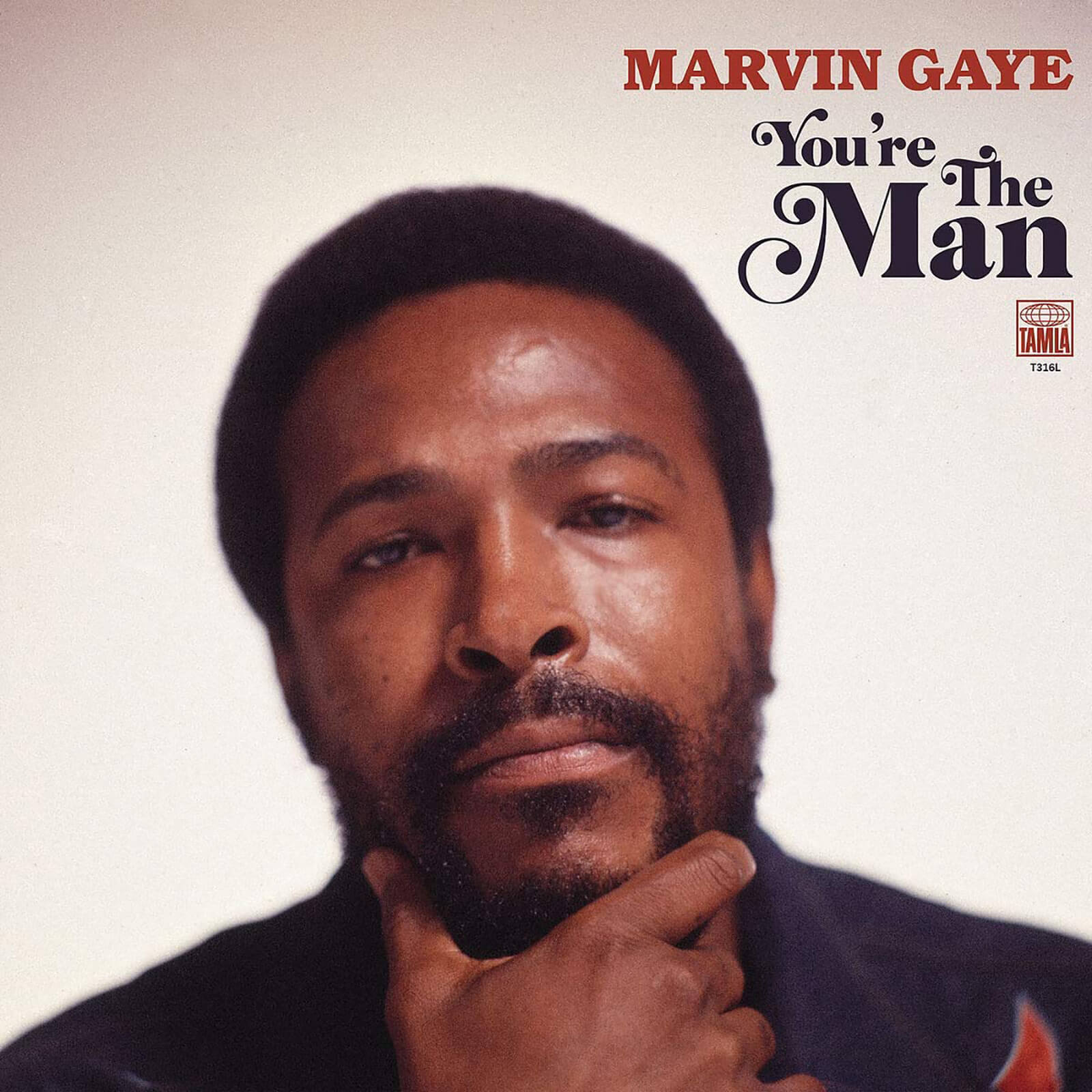 Marvin Gaye - You're The Man Vinyl 2LP