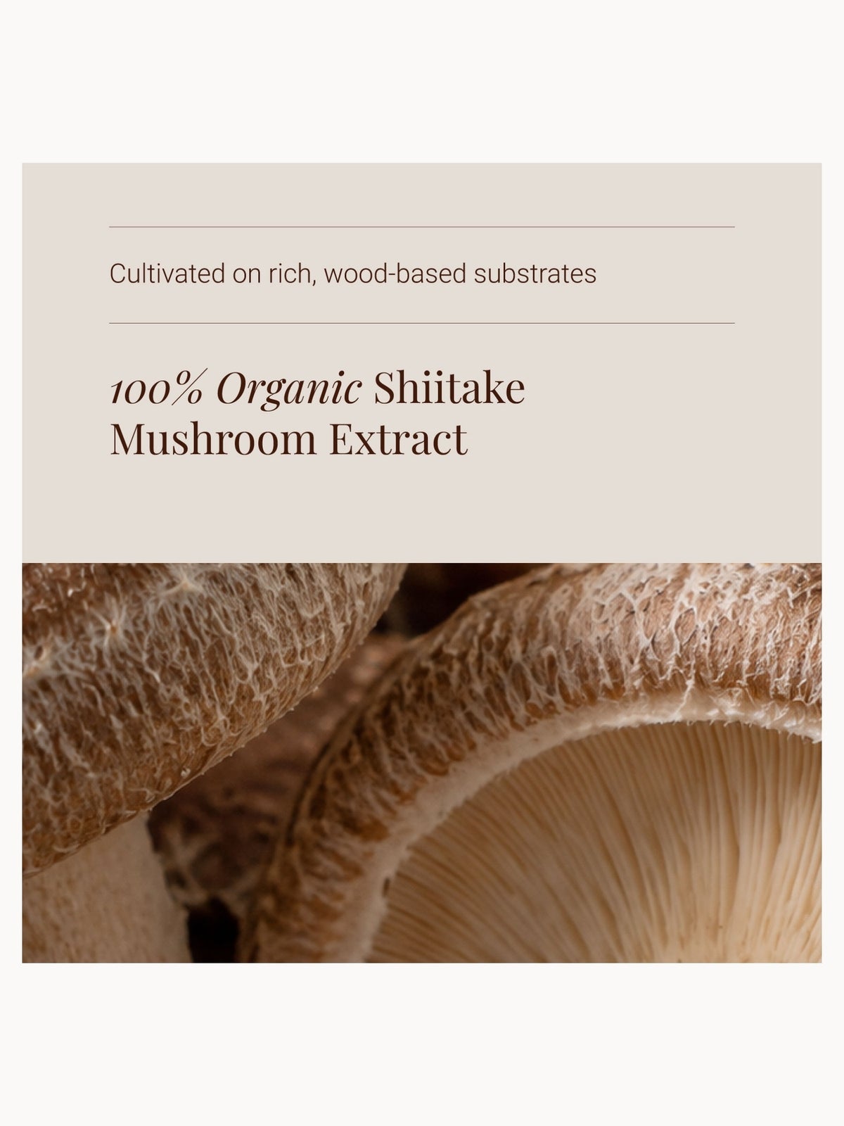 KIKI Health Vegan Shiitake Mushroom Extract 400mg Capsules - Daily Wellness Supplement Support, 60 Capsules, photo 4