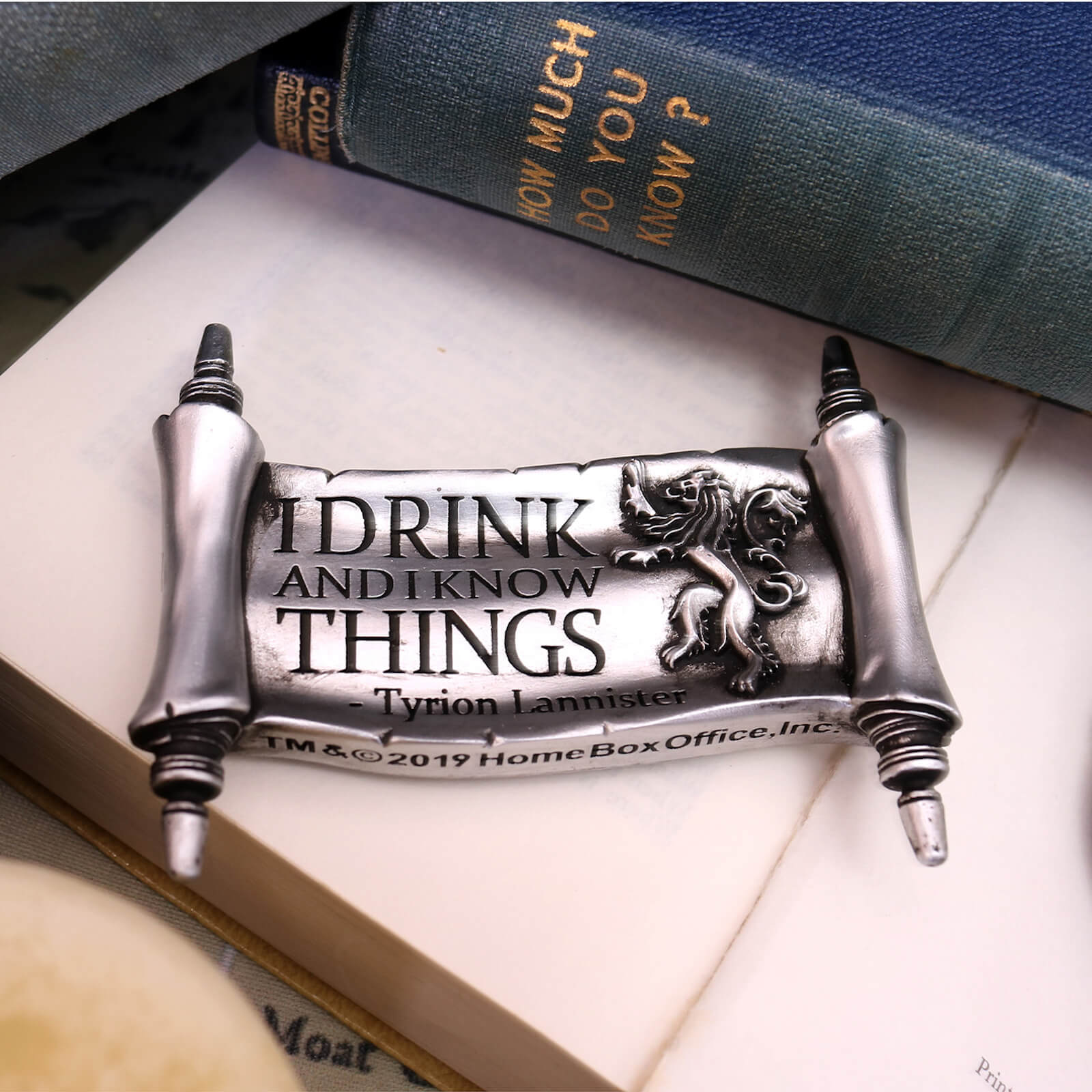 Game of Thrones I Drink and I Know Things Magnet