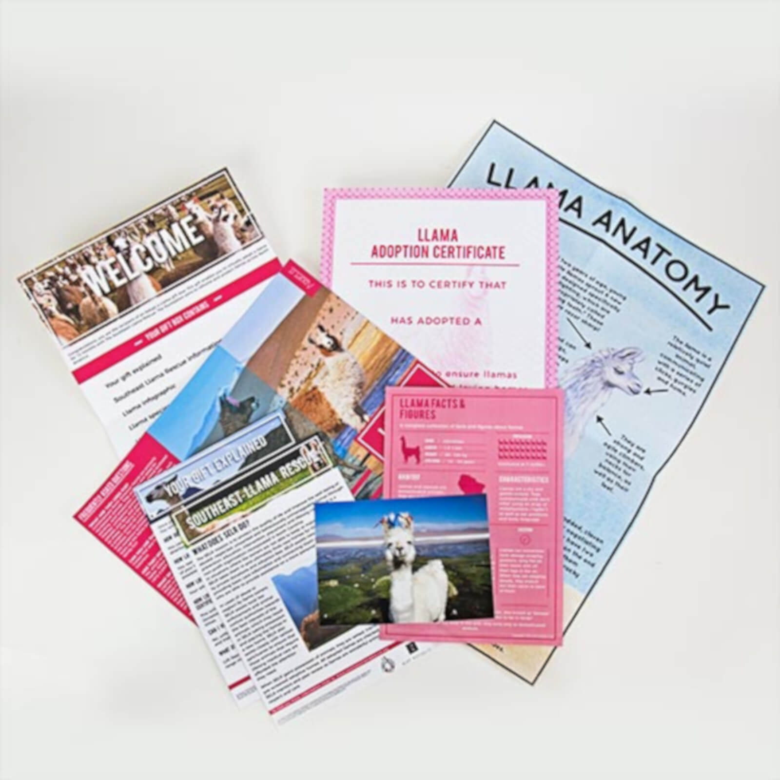 Adopt a Llama Gift Set