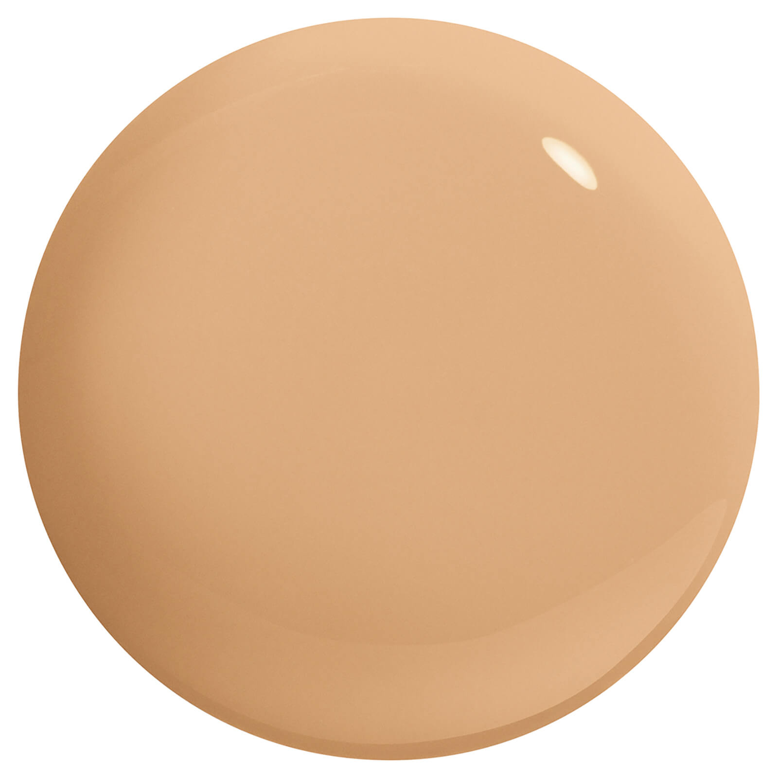 

Stila Hide and Chic Fluid Foundation 30ml (Various Shades) - Medium 2