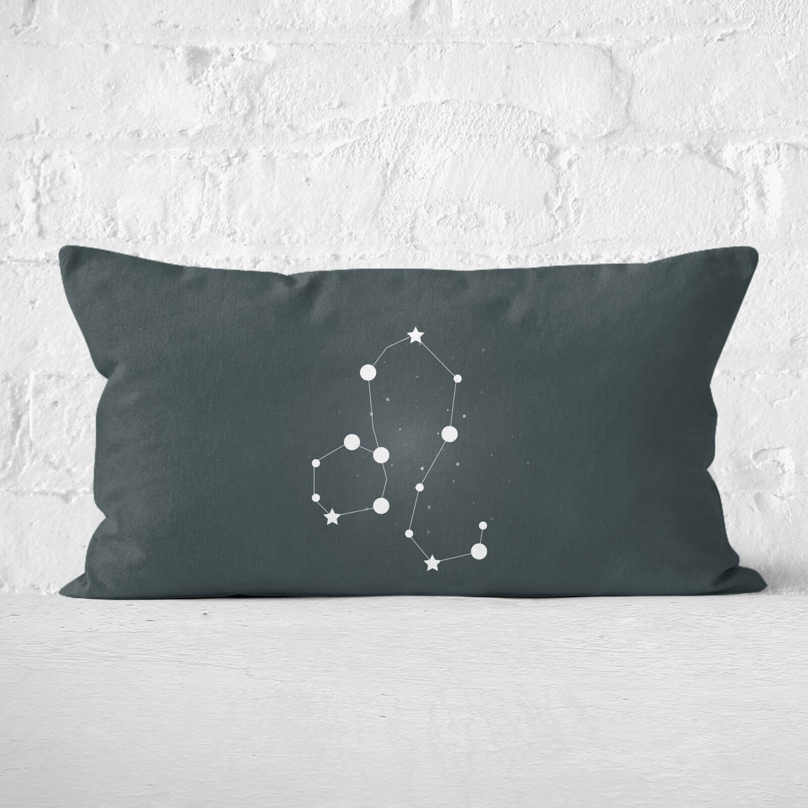 Leo Rectangular Cushion - 30x50cm - Soft Touch