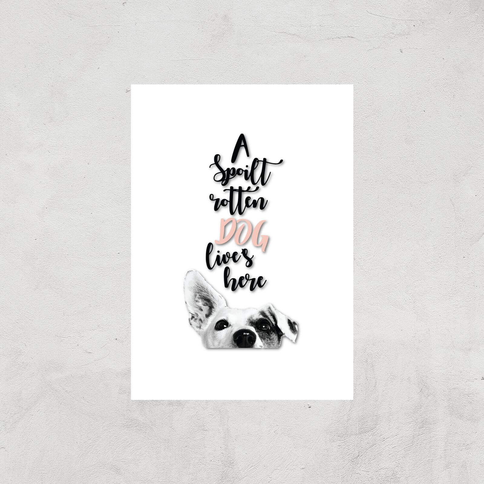 A Spoilt Rotten Dog Lives Here Jack Russell Art Print - A4 - Print Only