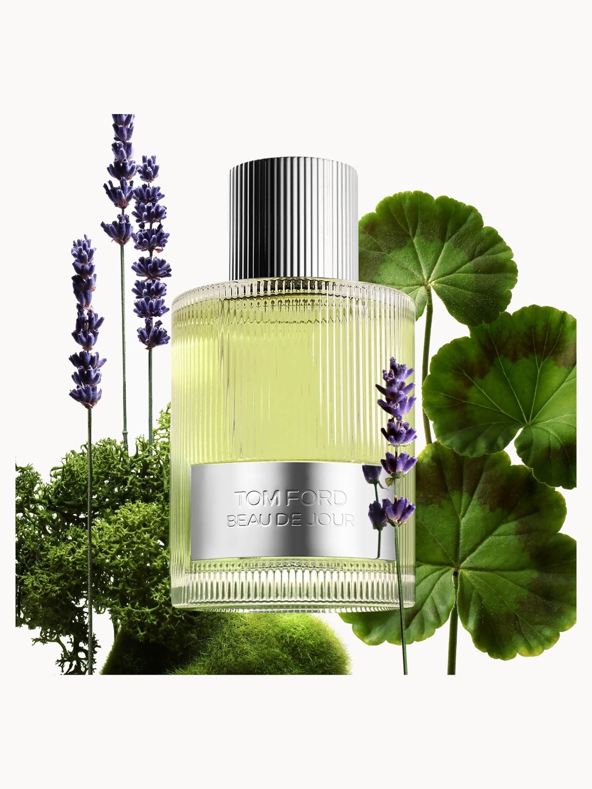 TOM FORD Beau de Jour Eau de Parfum 100ml 2