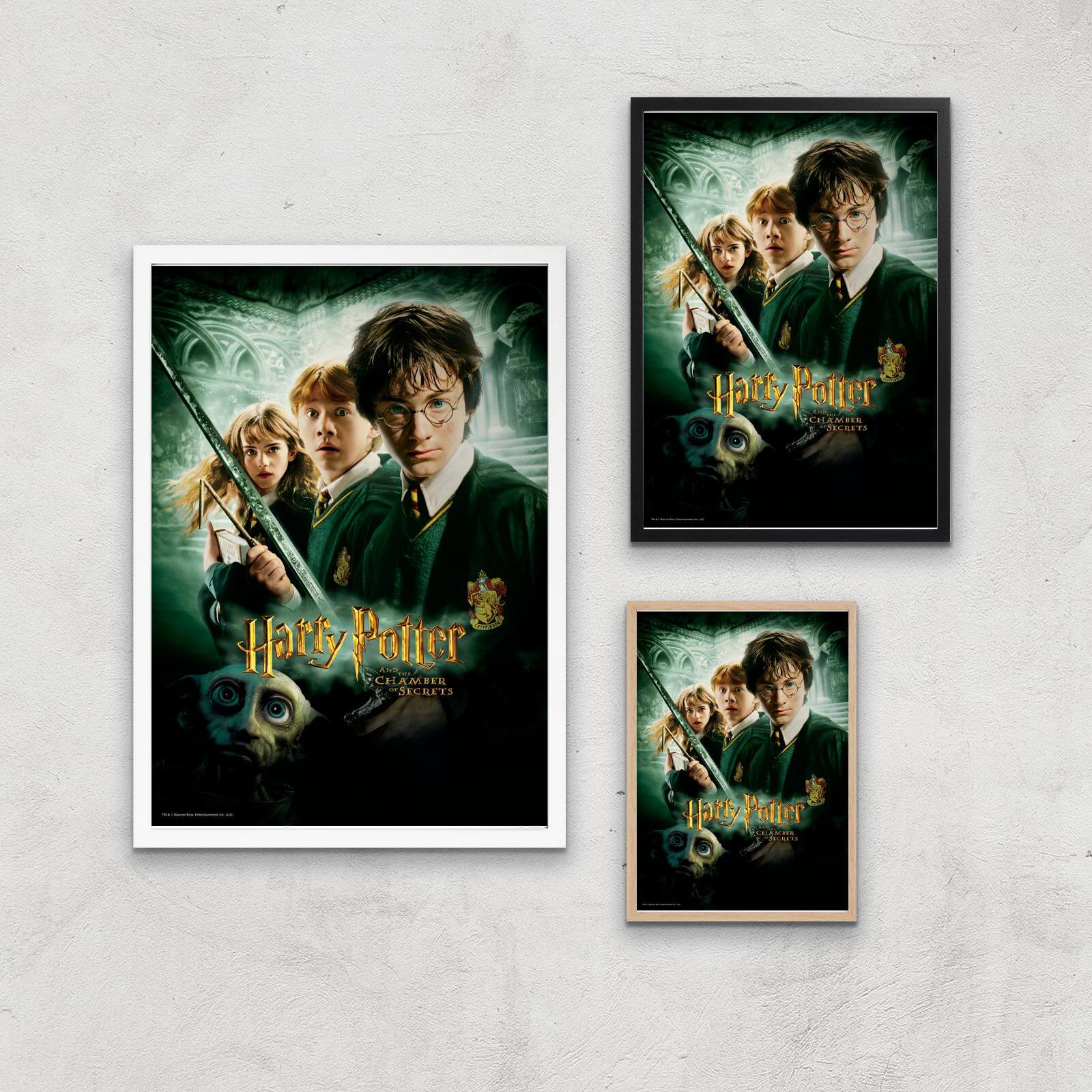 Harry Potter and the Chamber Of Secrets Giclee Art Print - A2 - Print Only