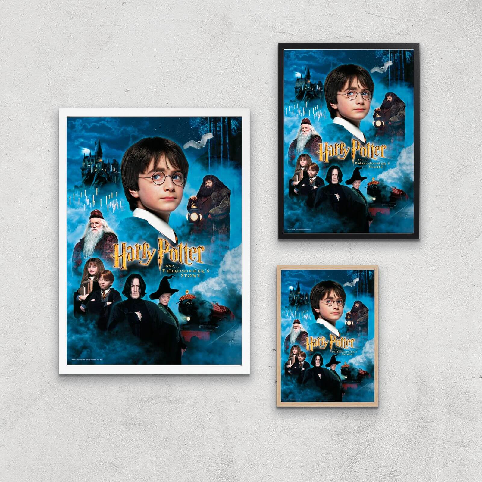 Harry Potter and the Philosopher's Stone Giclee Art Print - A2 - Print Only