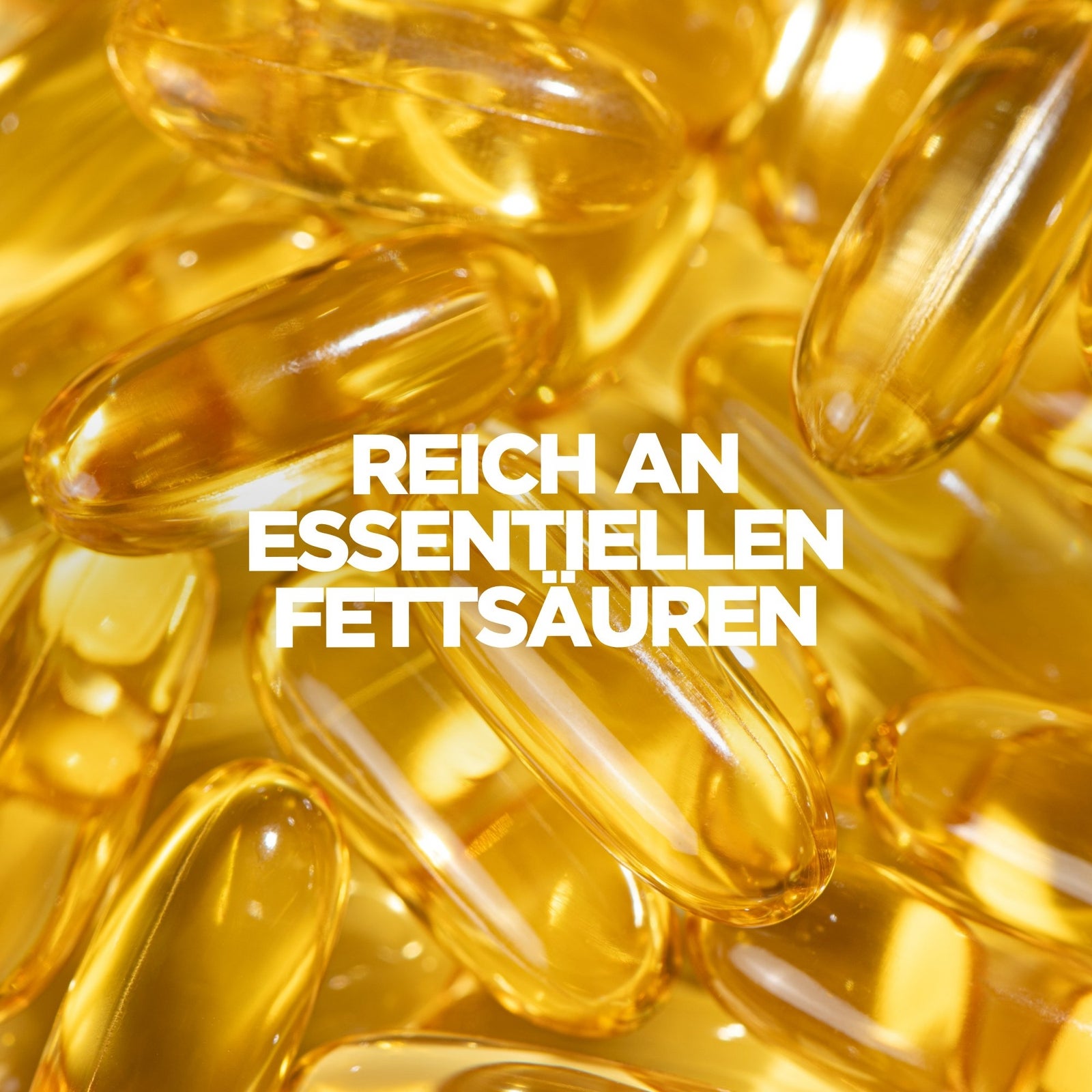 Essentielle Omega-3 - 250Kapseln — Bild 4