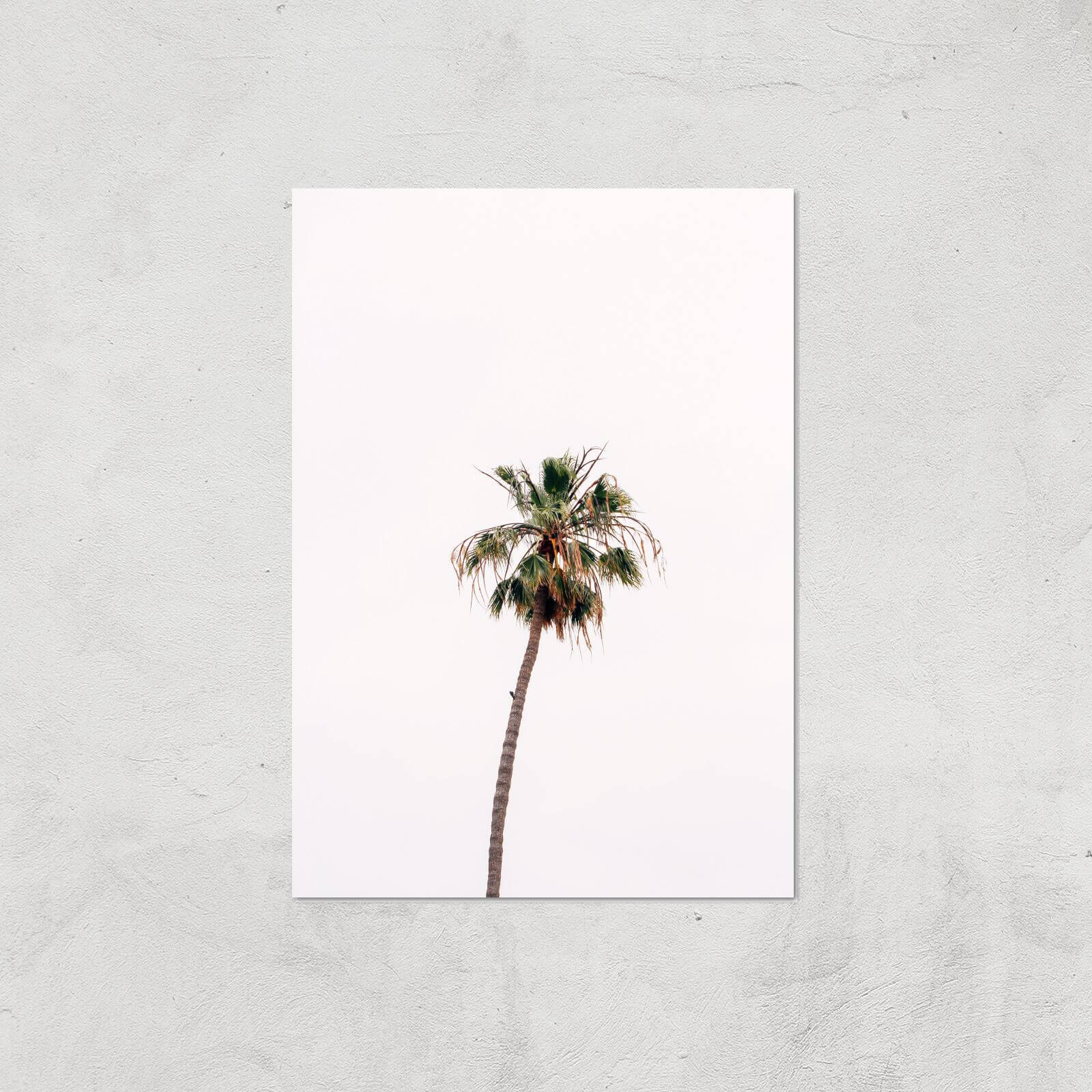 Lonely Palm Tree Giclee Art Print - A4 - Print Only