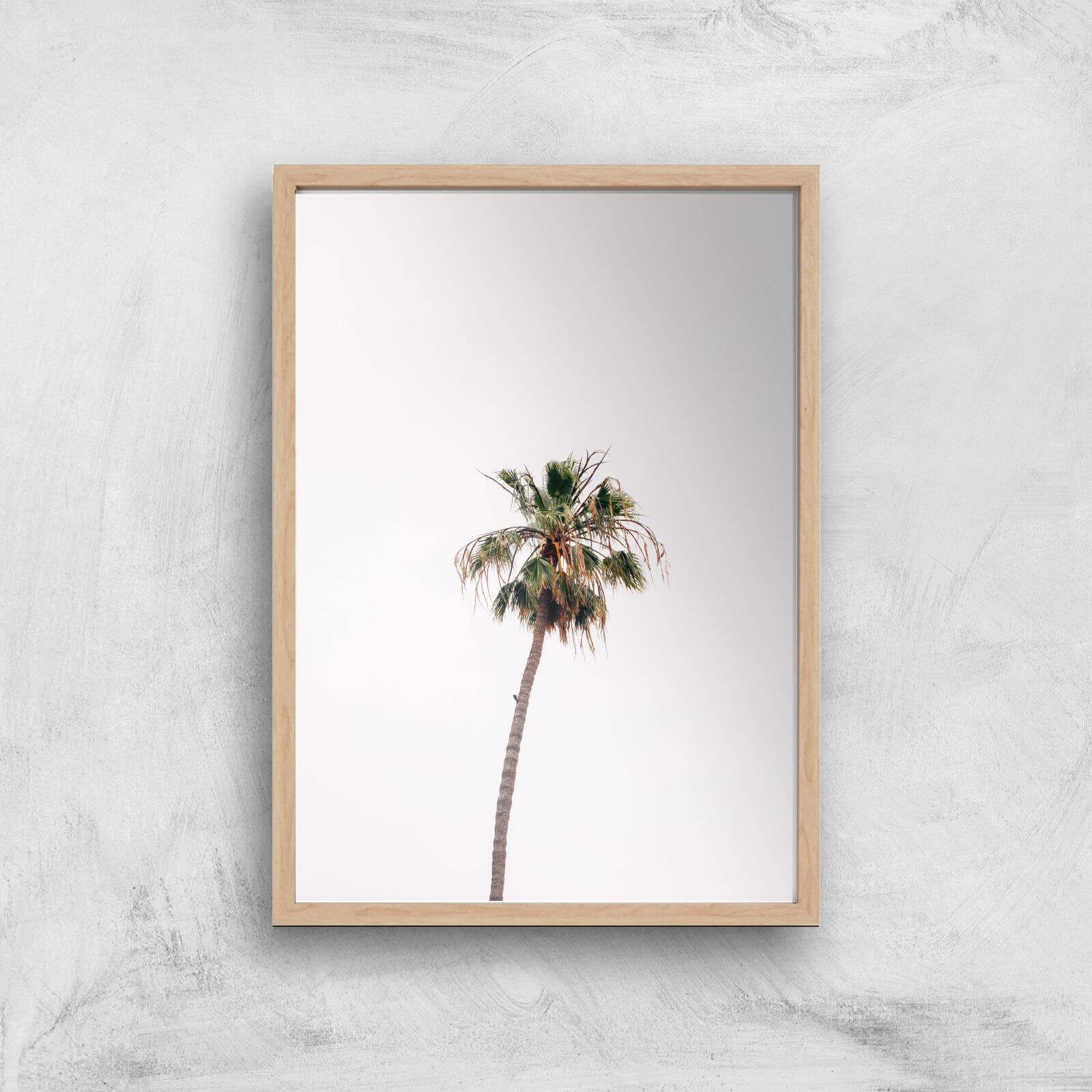 Lonely Palm Tree Giclee Art Print - A3 - Wooden Frame
