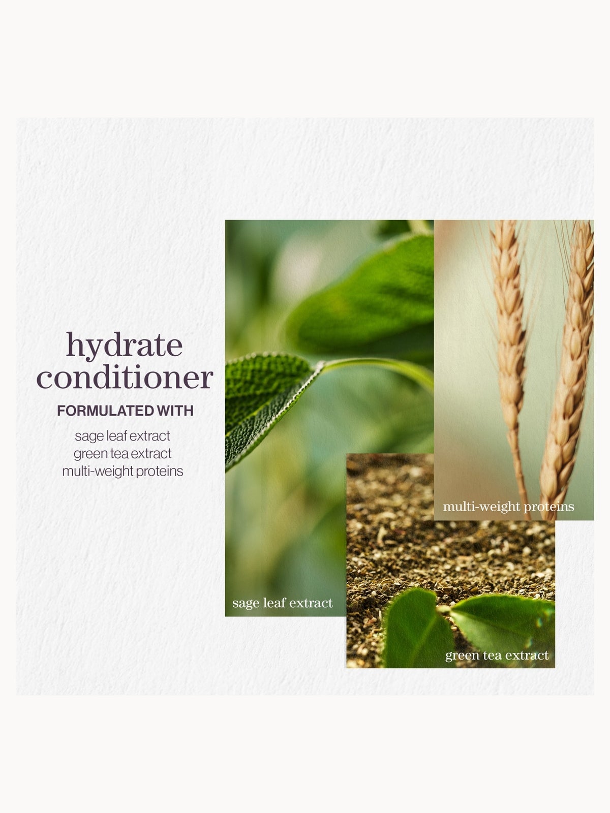 Pureology Hydrate Nourishing Conditioner, For Dry Hair 1000ml, photo 3