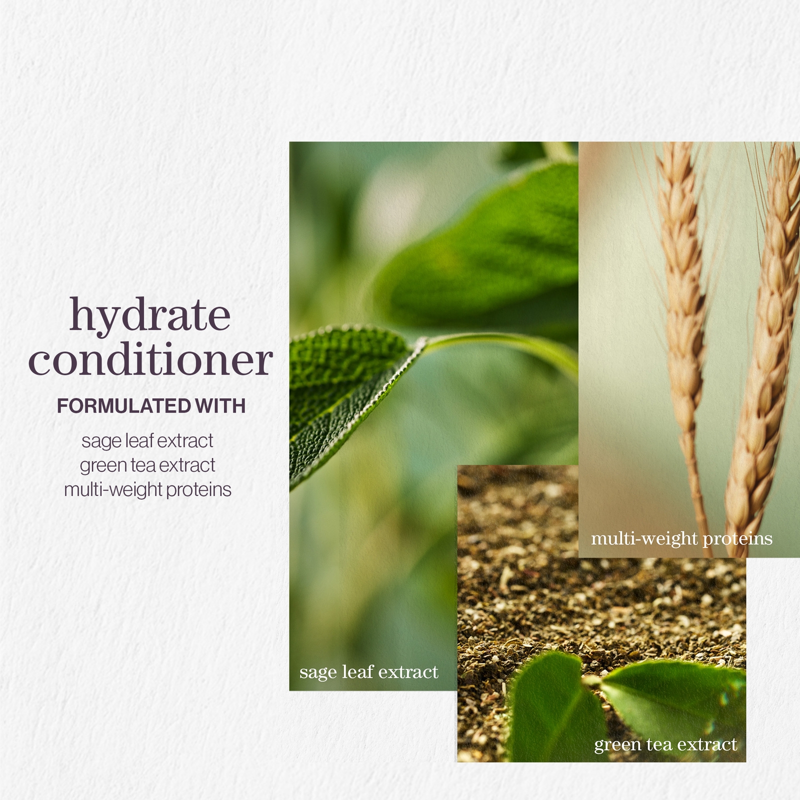 Pureology Hydrate Conditioner Duo 2 x 266ml Pureology Hydrate Conditioner Duo 2 x 266ml