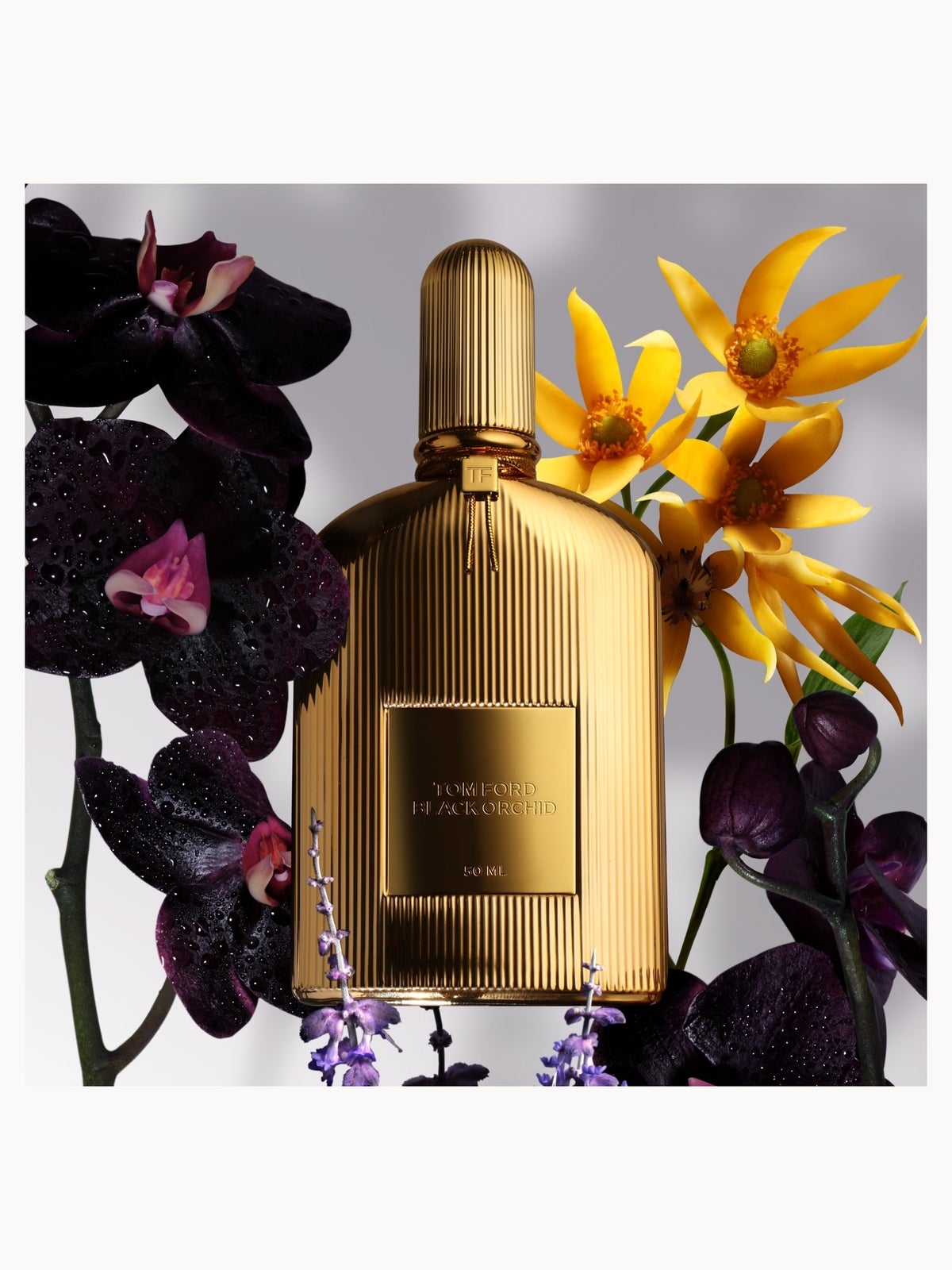 TOM FORD Black Orchid Parfum Eau de Parfum 50ml 2
