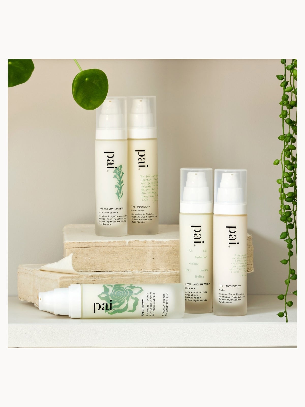Pai Skincare Love And Haight™ Hydrating Moisturizer 4