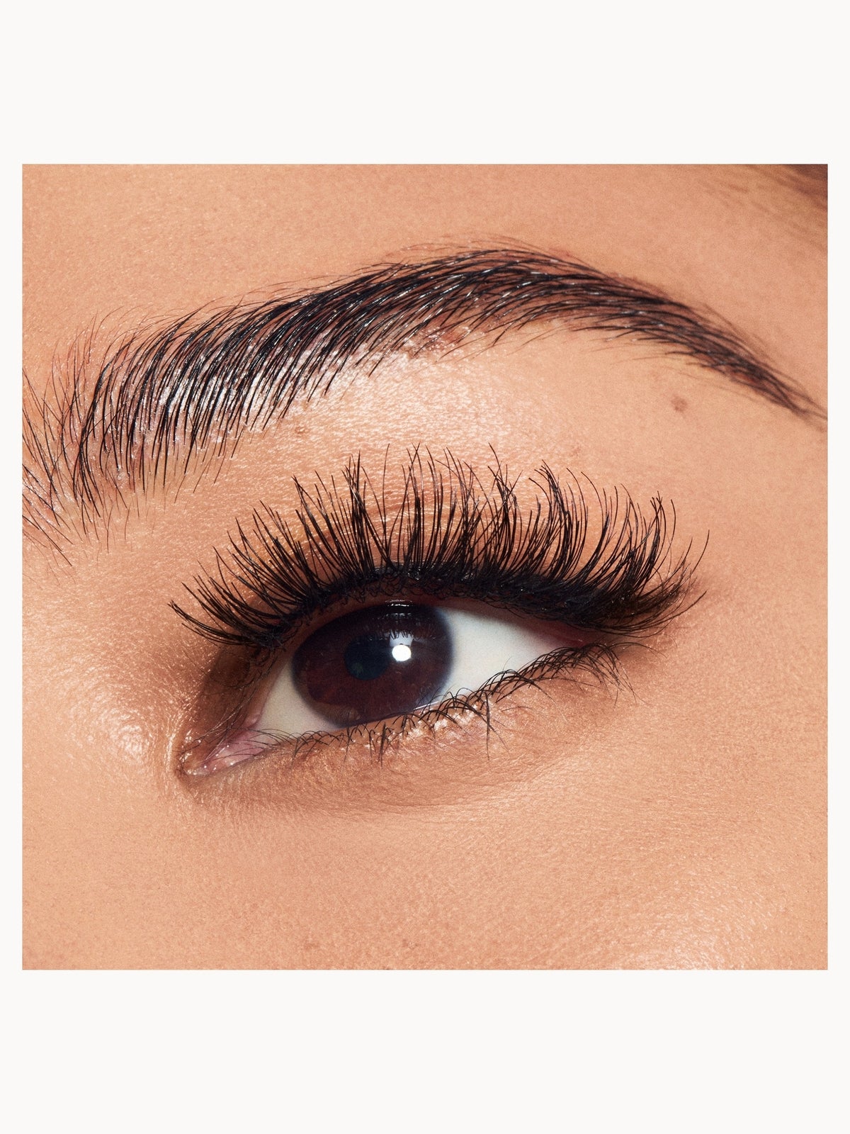 MAC False Lash - 80 Romantic Lash 2
