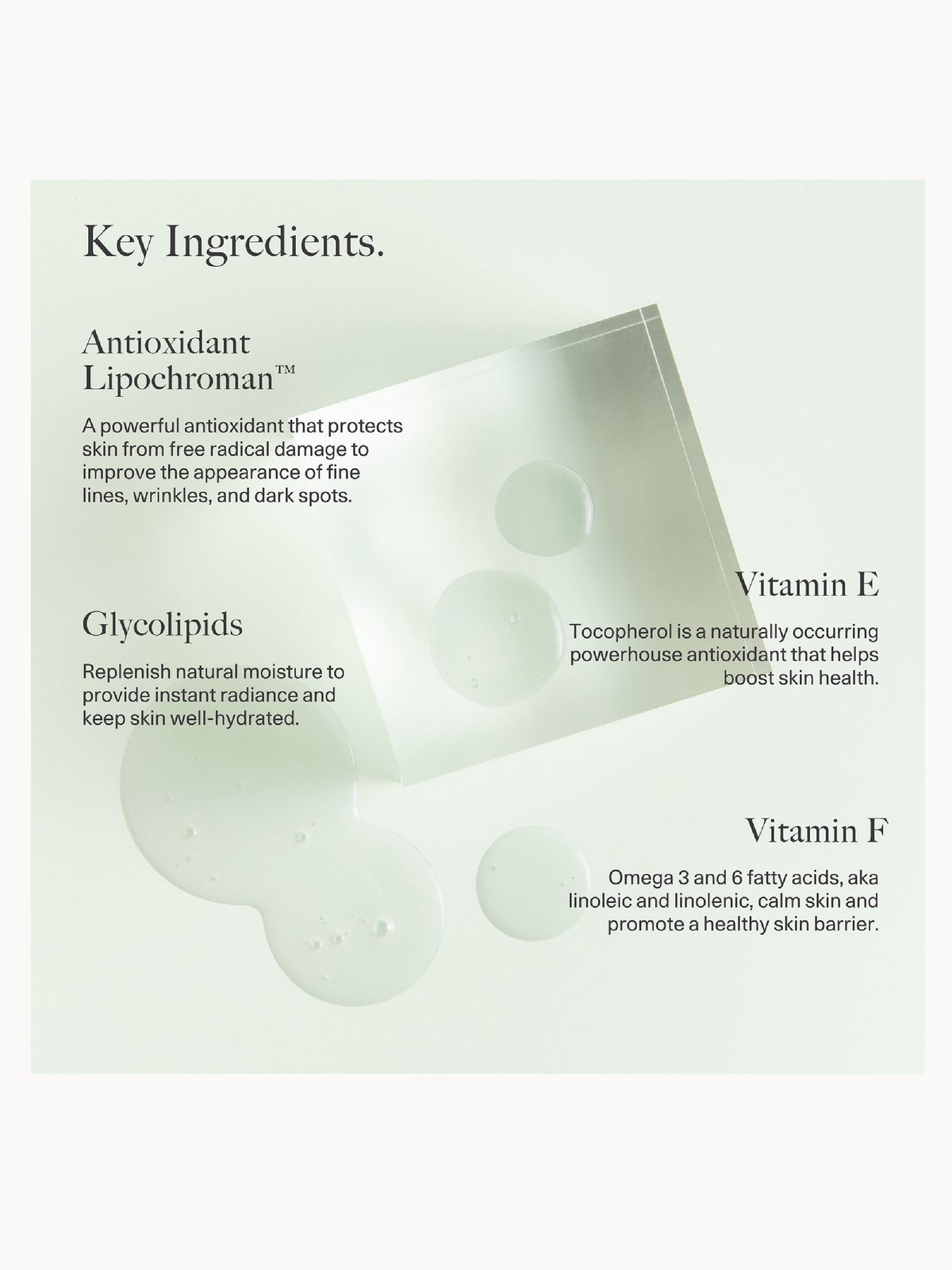Dr. Loretta Intense Replenishing Ceramide Serum 30ml 4