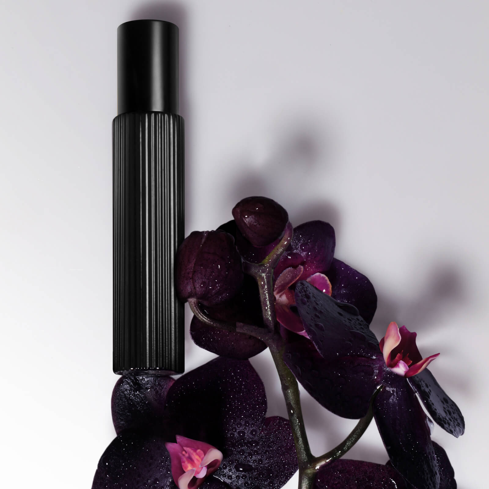TOM FORD Black Orchid Eau de Parfum 10ml Femme