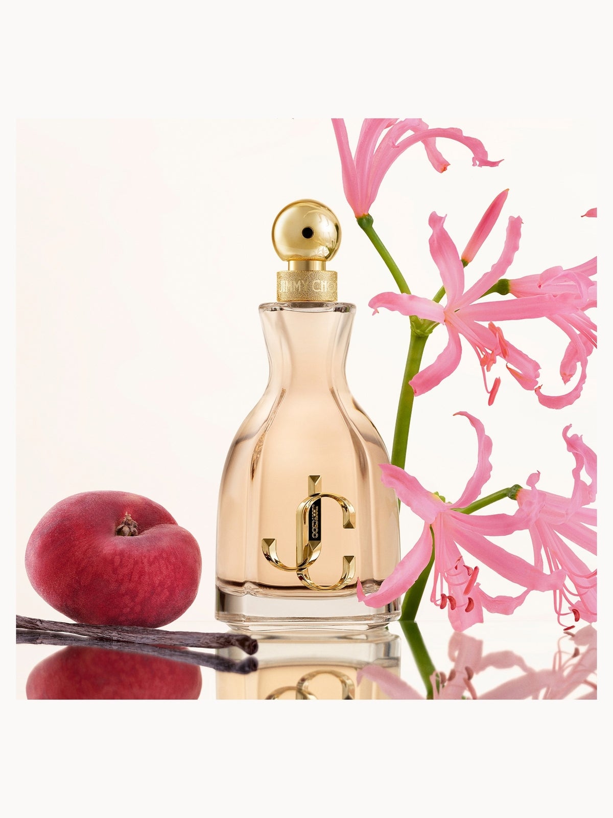 Jimmy Choo I Want Choo Eau de Parfum 100ml, photo 3